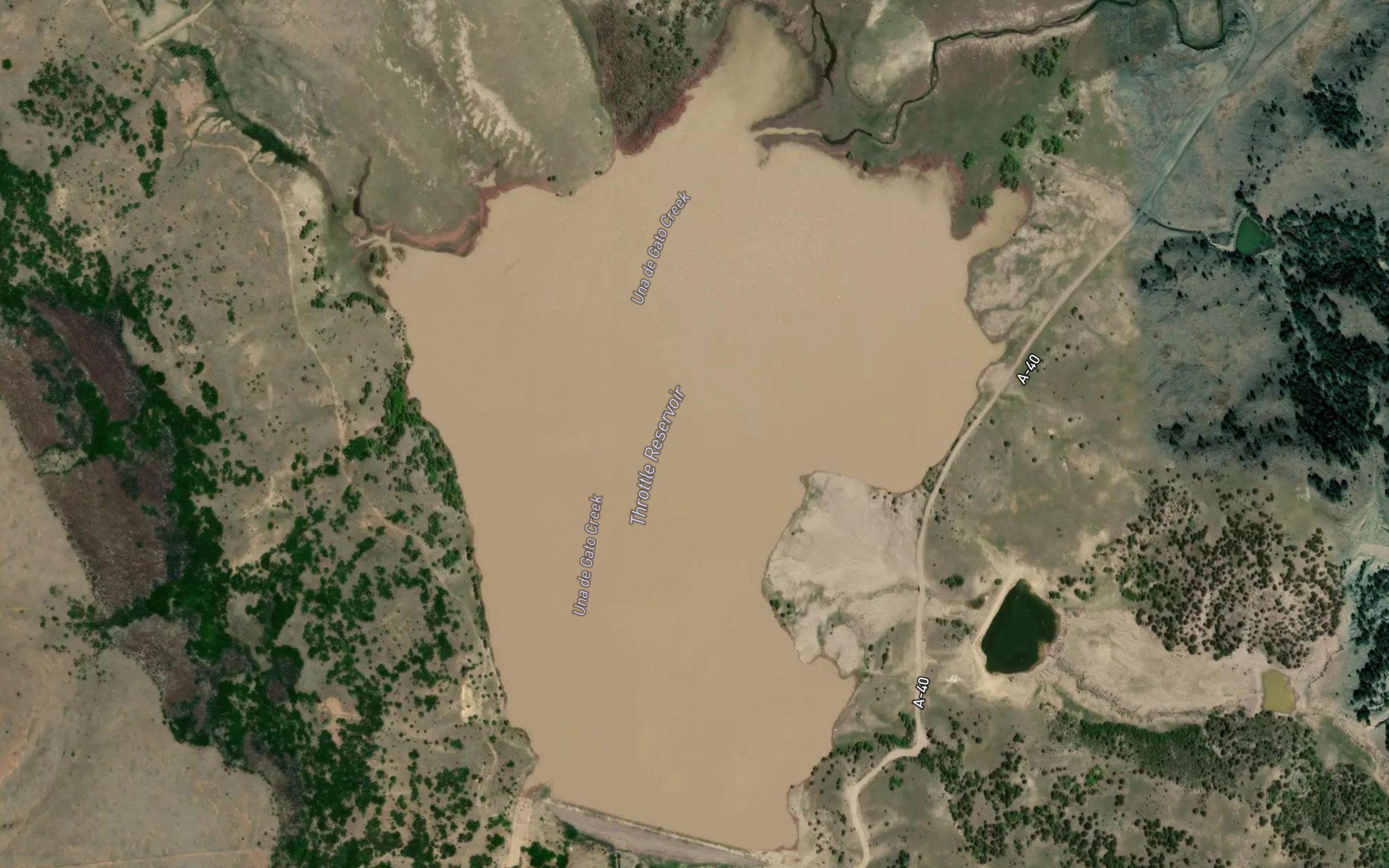 Throttle Reservoir