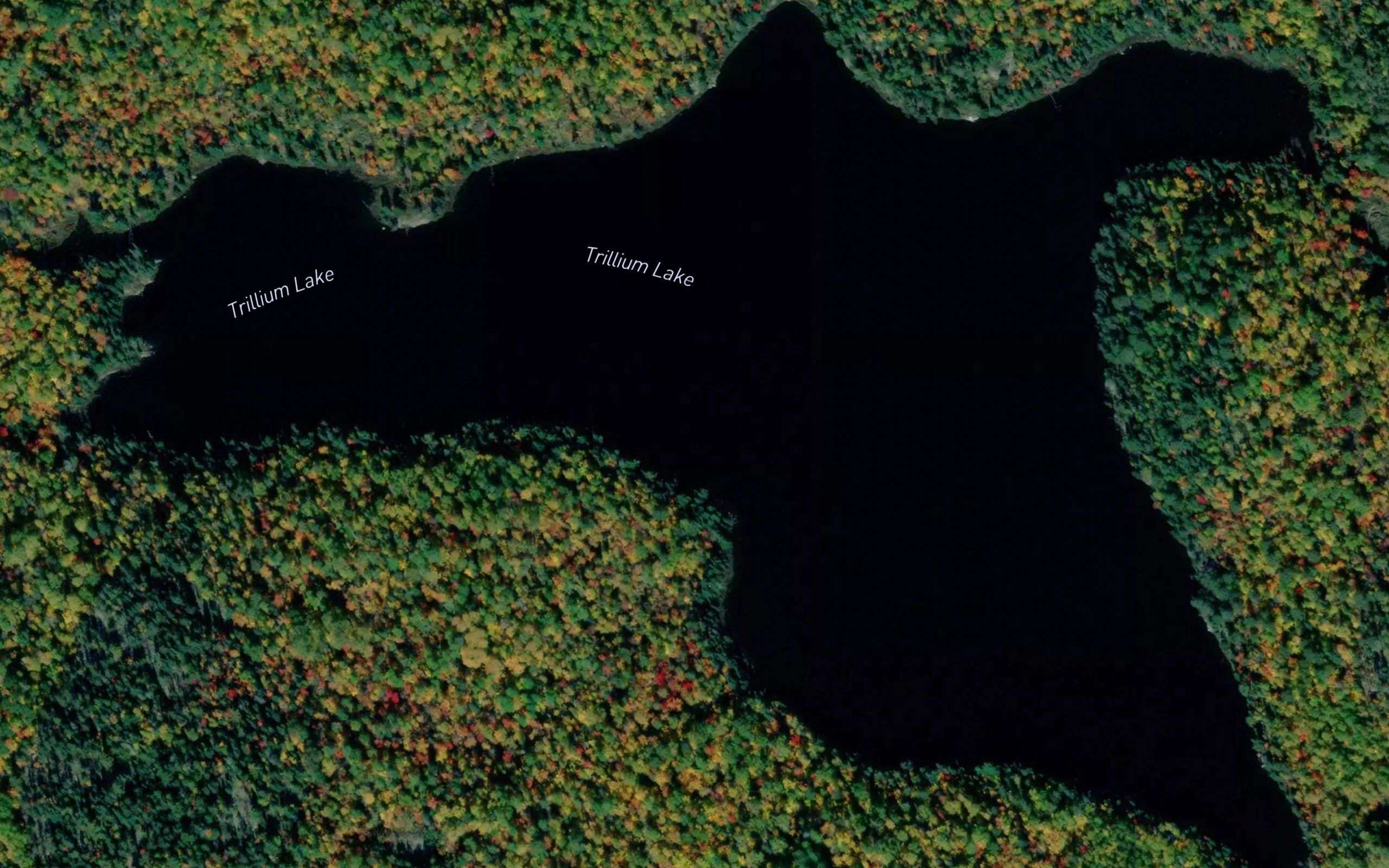 Trillium Lake