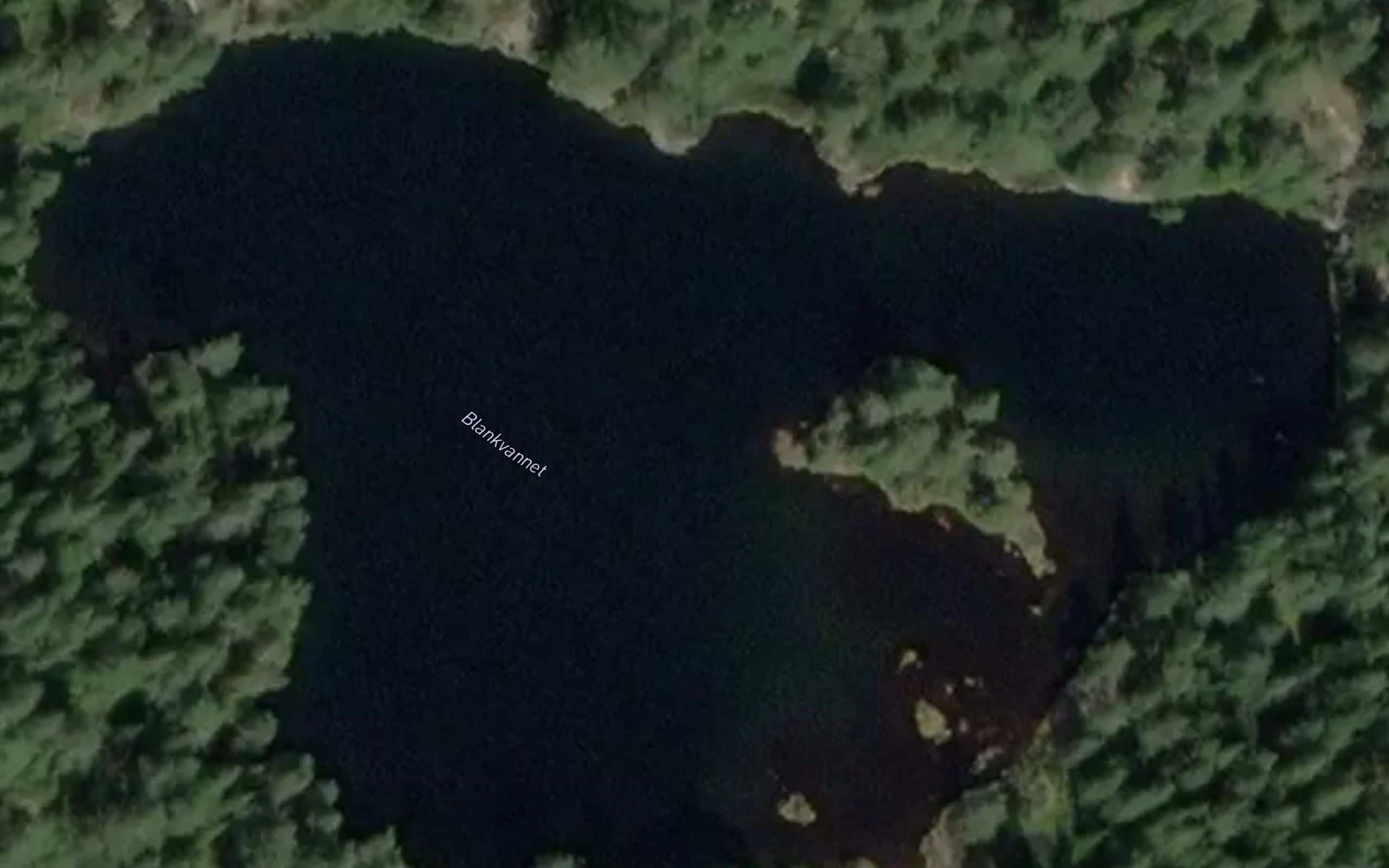 Blankevann