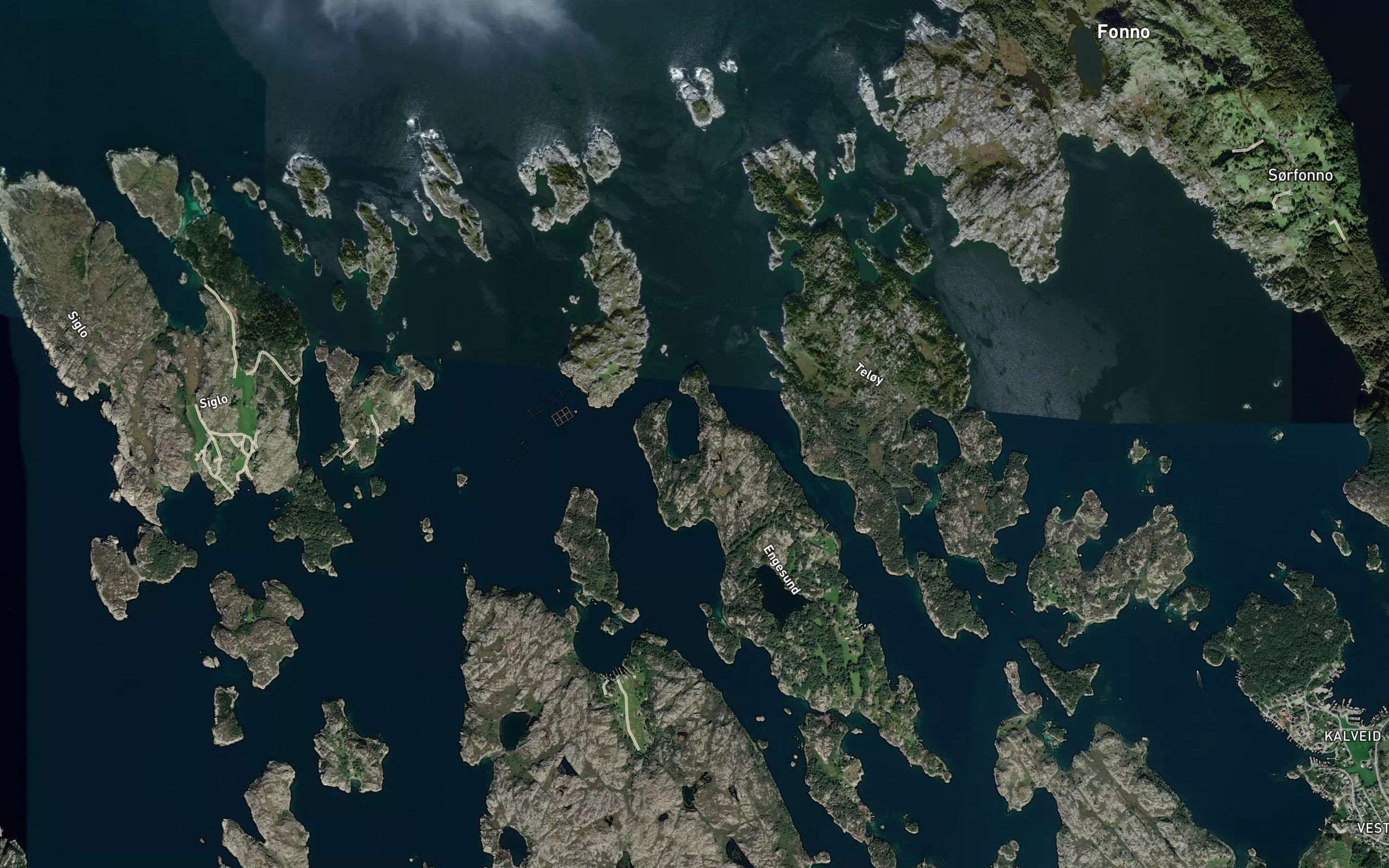 Kobbavika