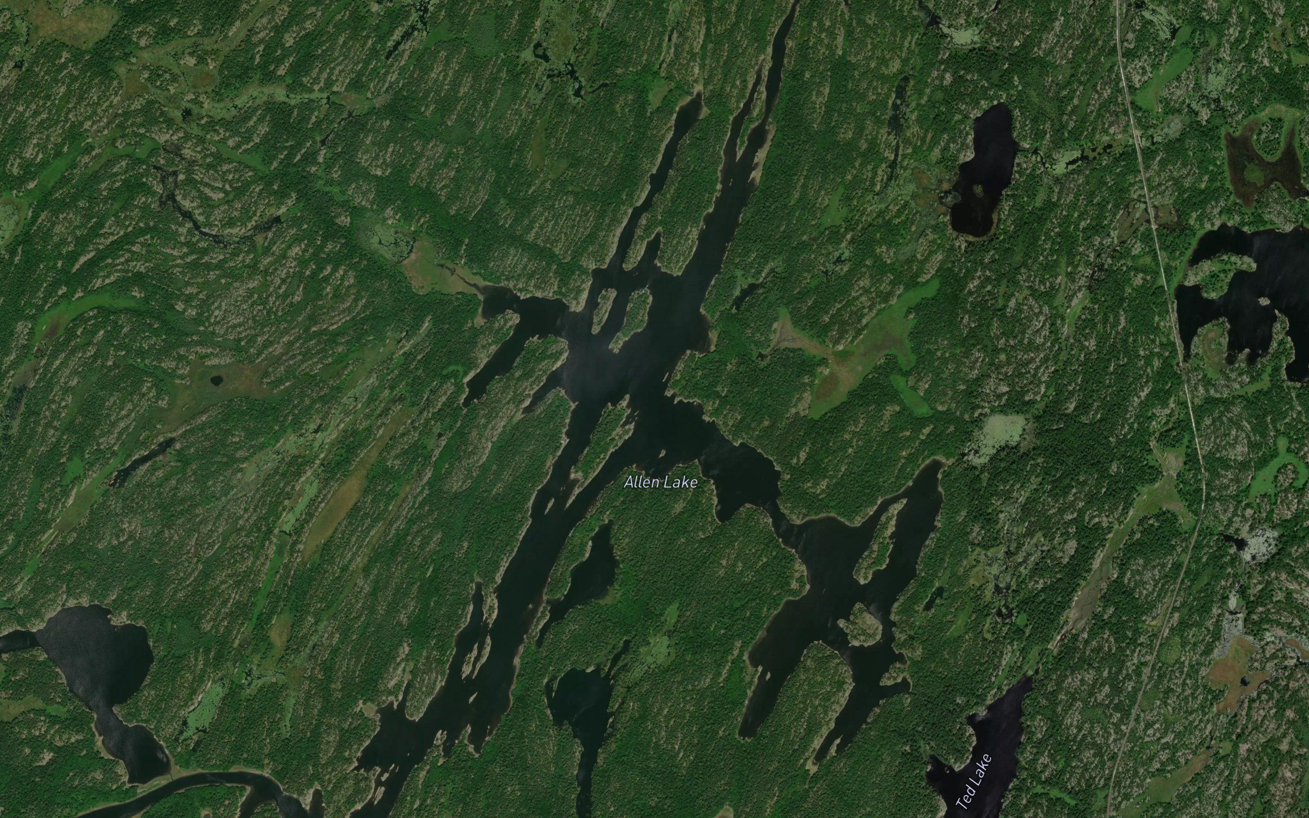 Allen Lake