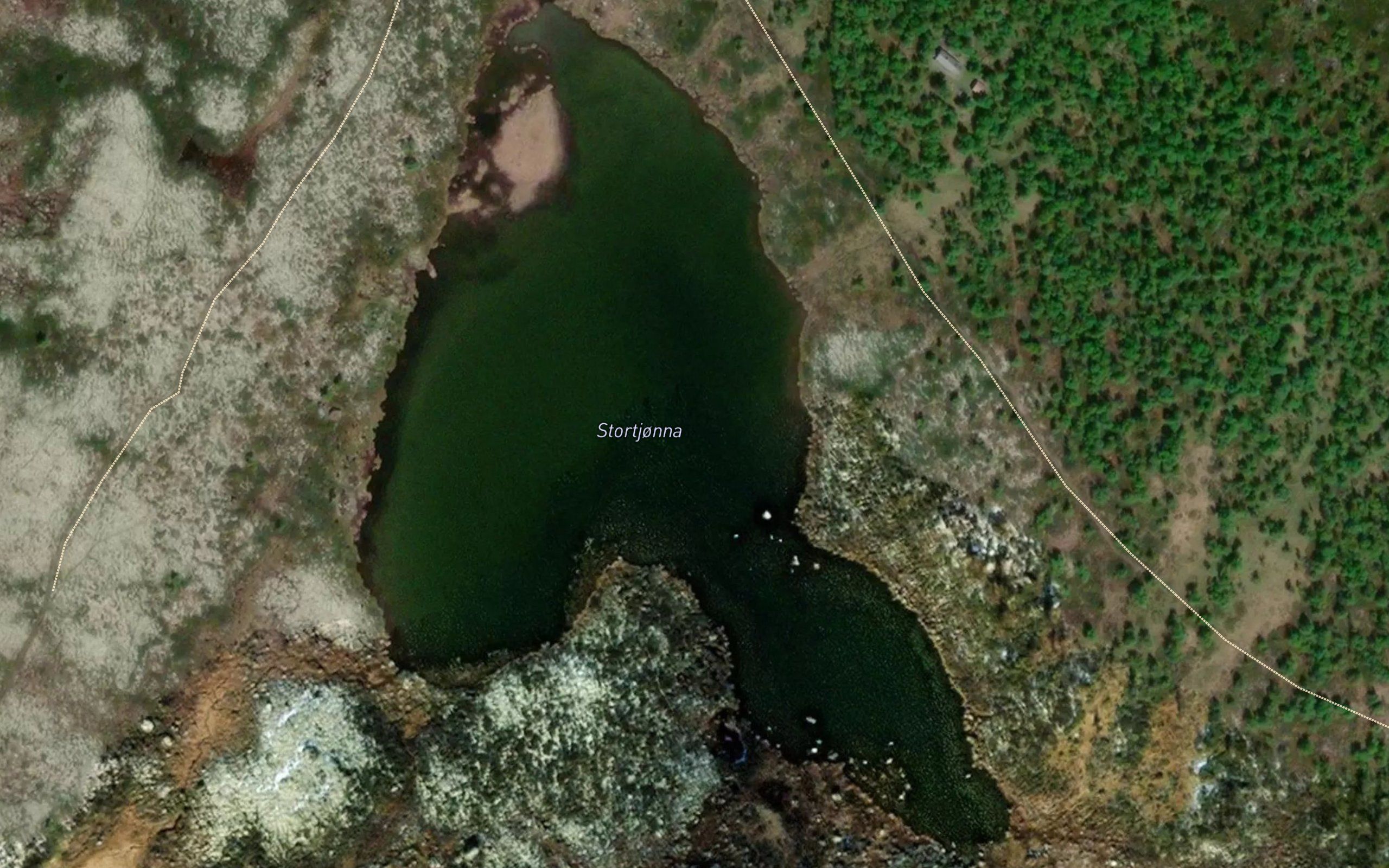 Stortjorna