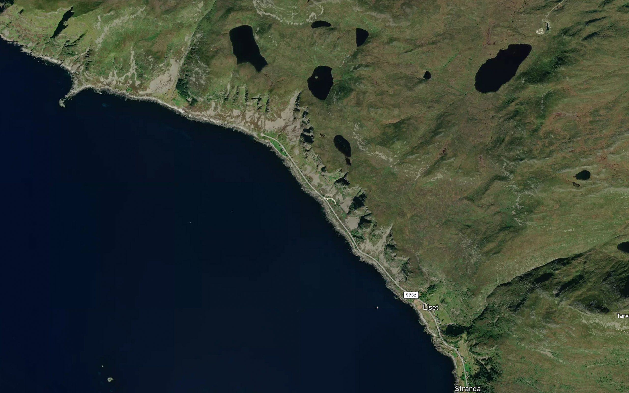 Lygaren