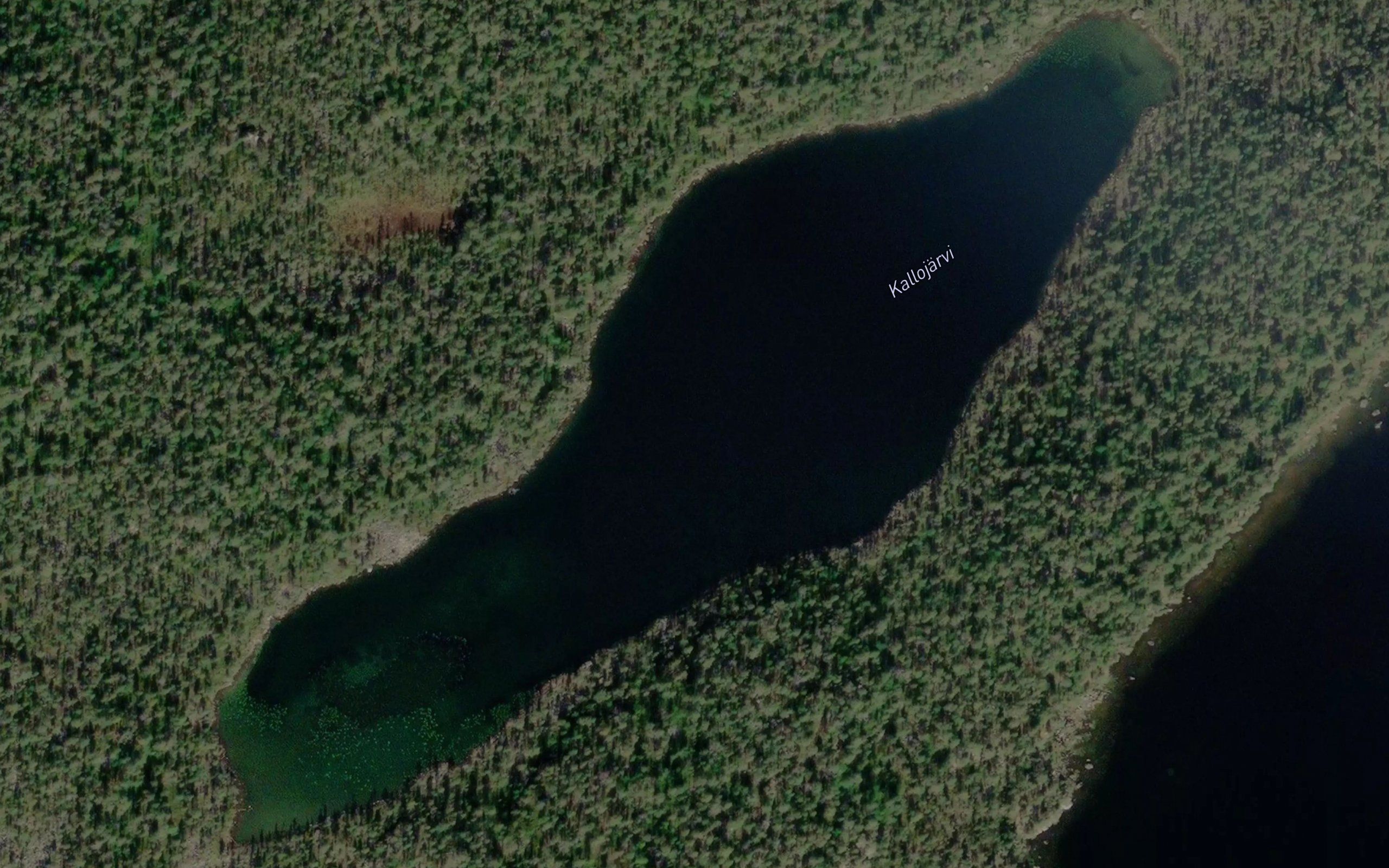 Kallujaavras