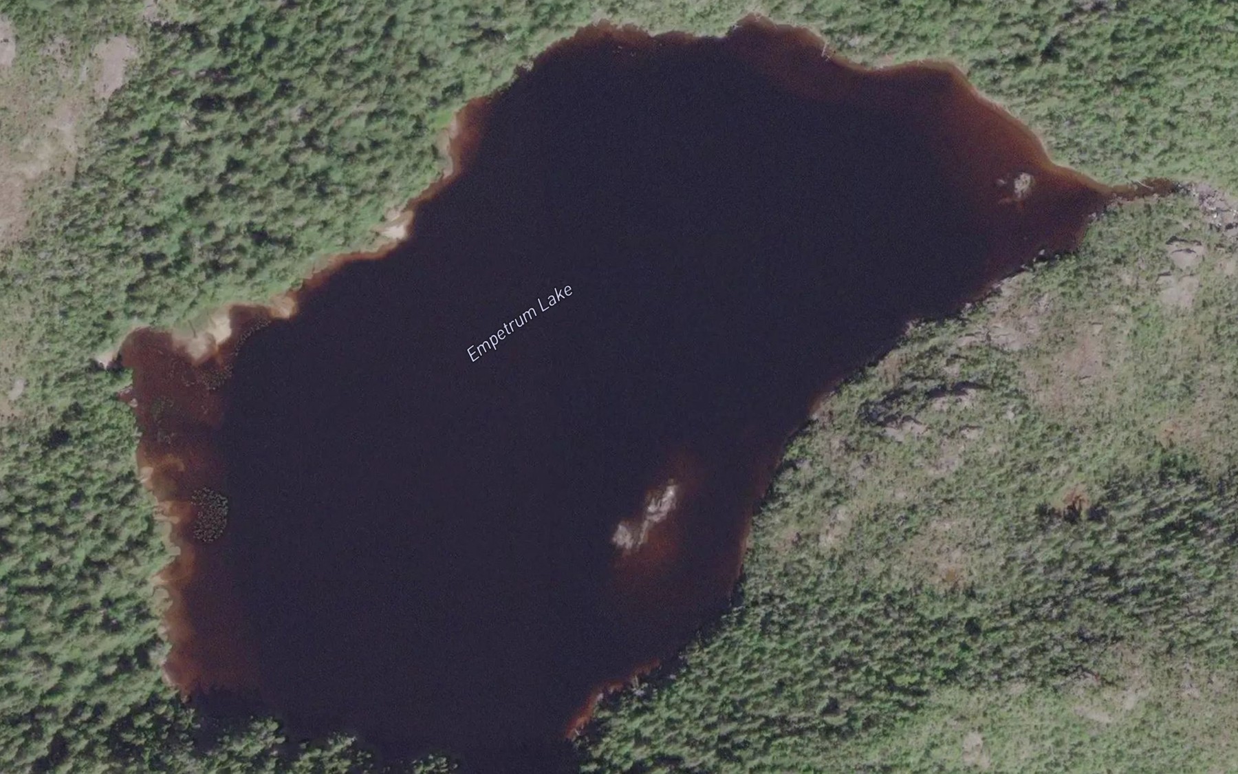 Satellite map of the Empetrum Lake