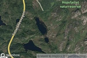 Hopstjorna