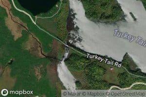 Upper Jo-Mary Stream