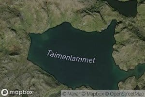 Taimenlammet