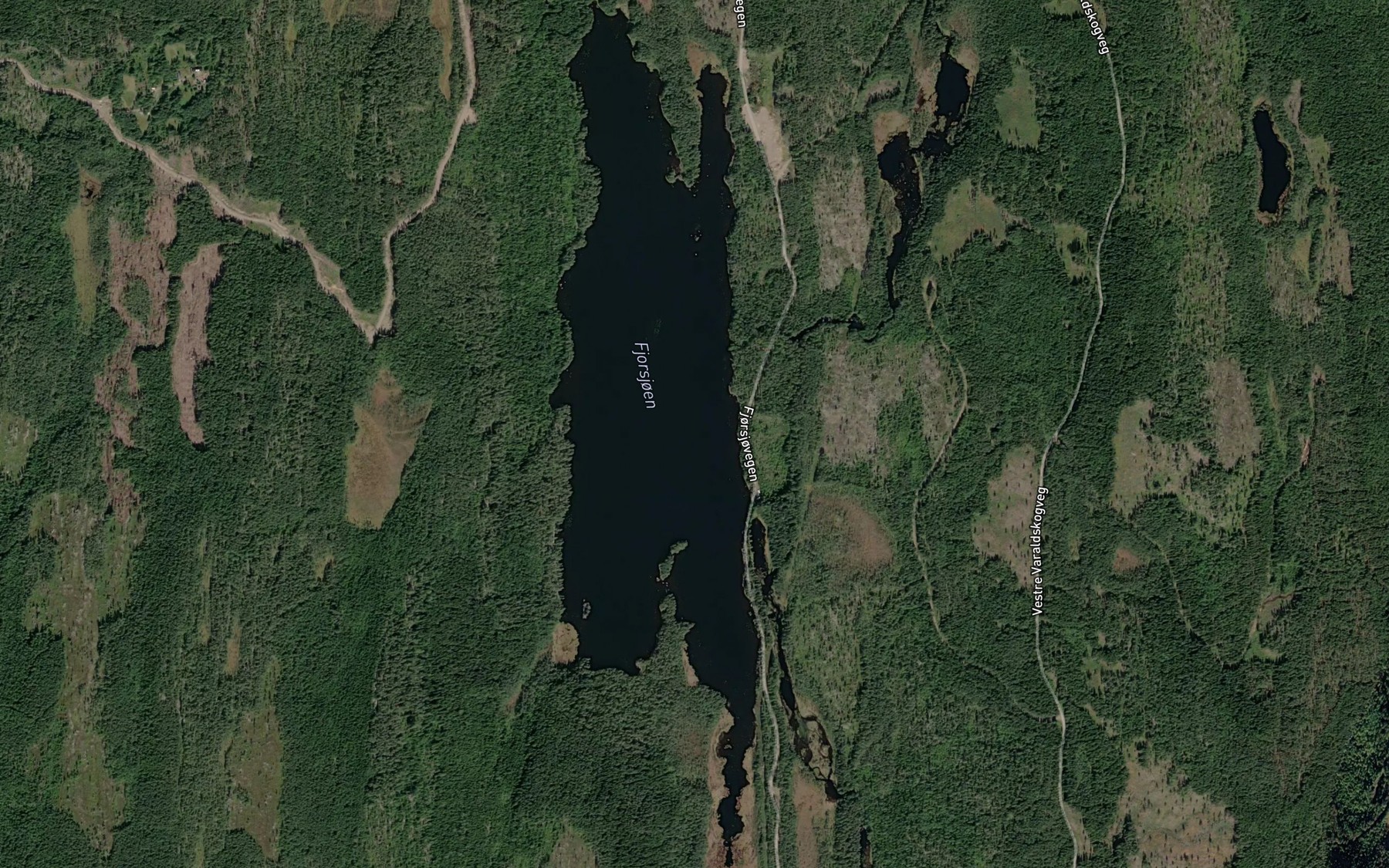 Satellite map of the Fjorsjoen