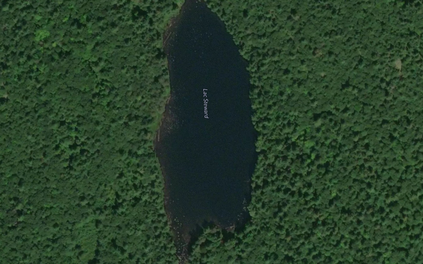 Satellite map of the Lac Steward
