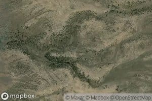 Sagehen Springs