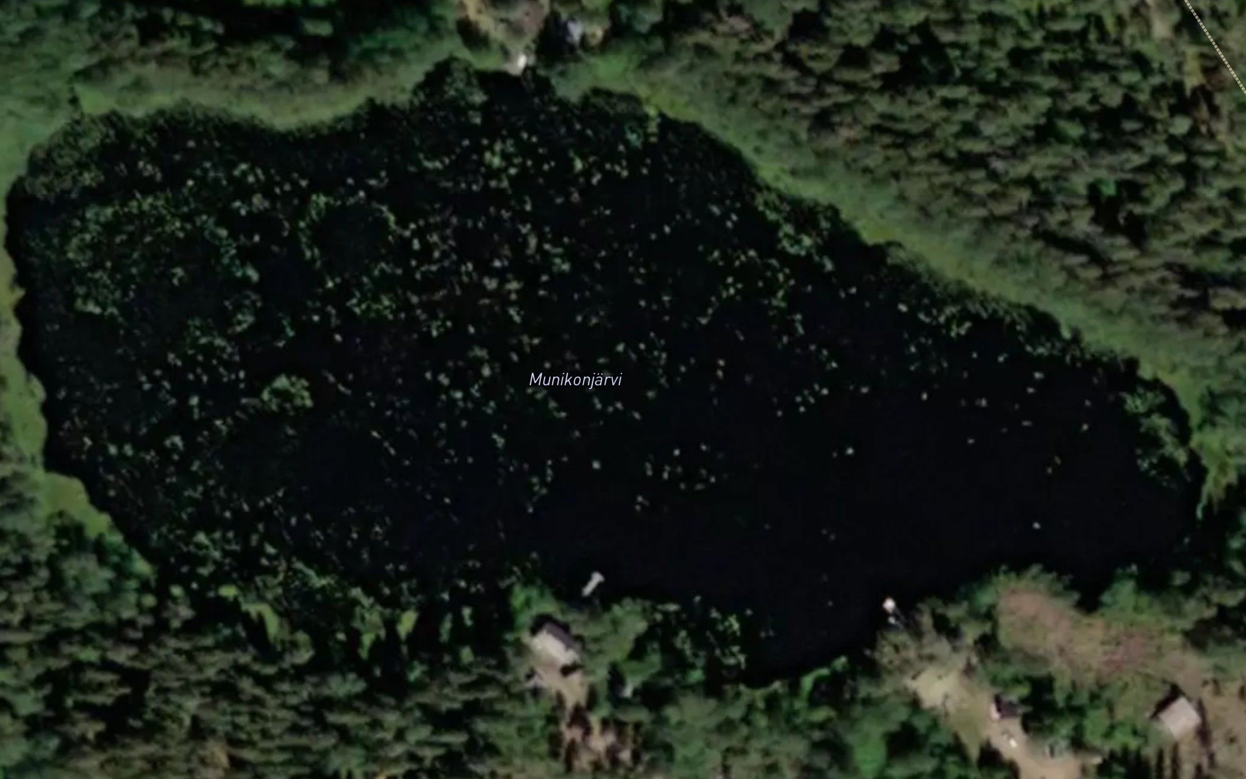 Munikonjarvi