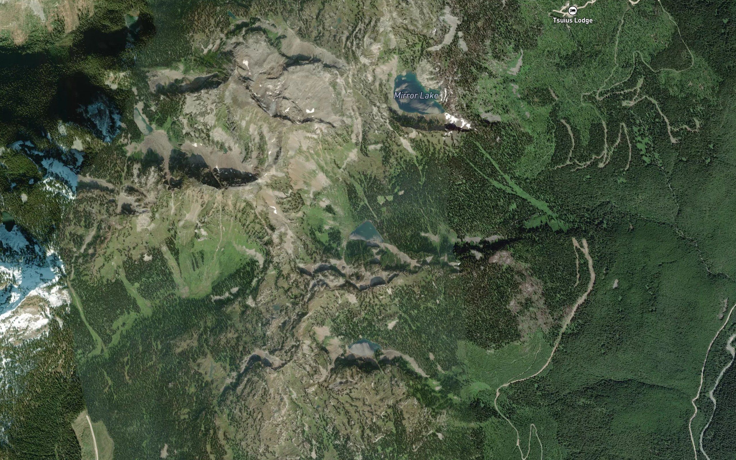Mimulus Lake