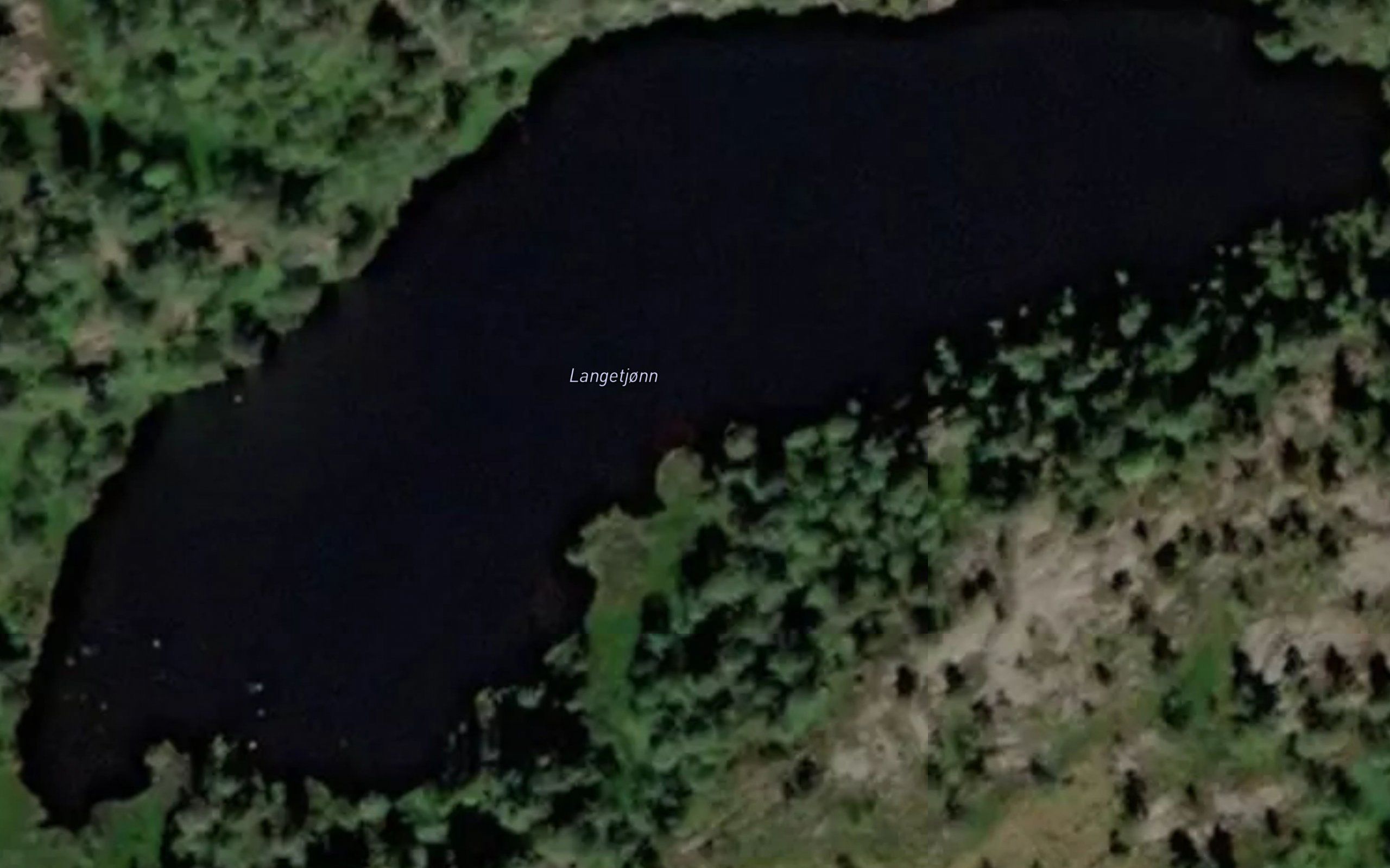 Langetjorni