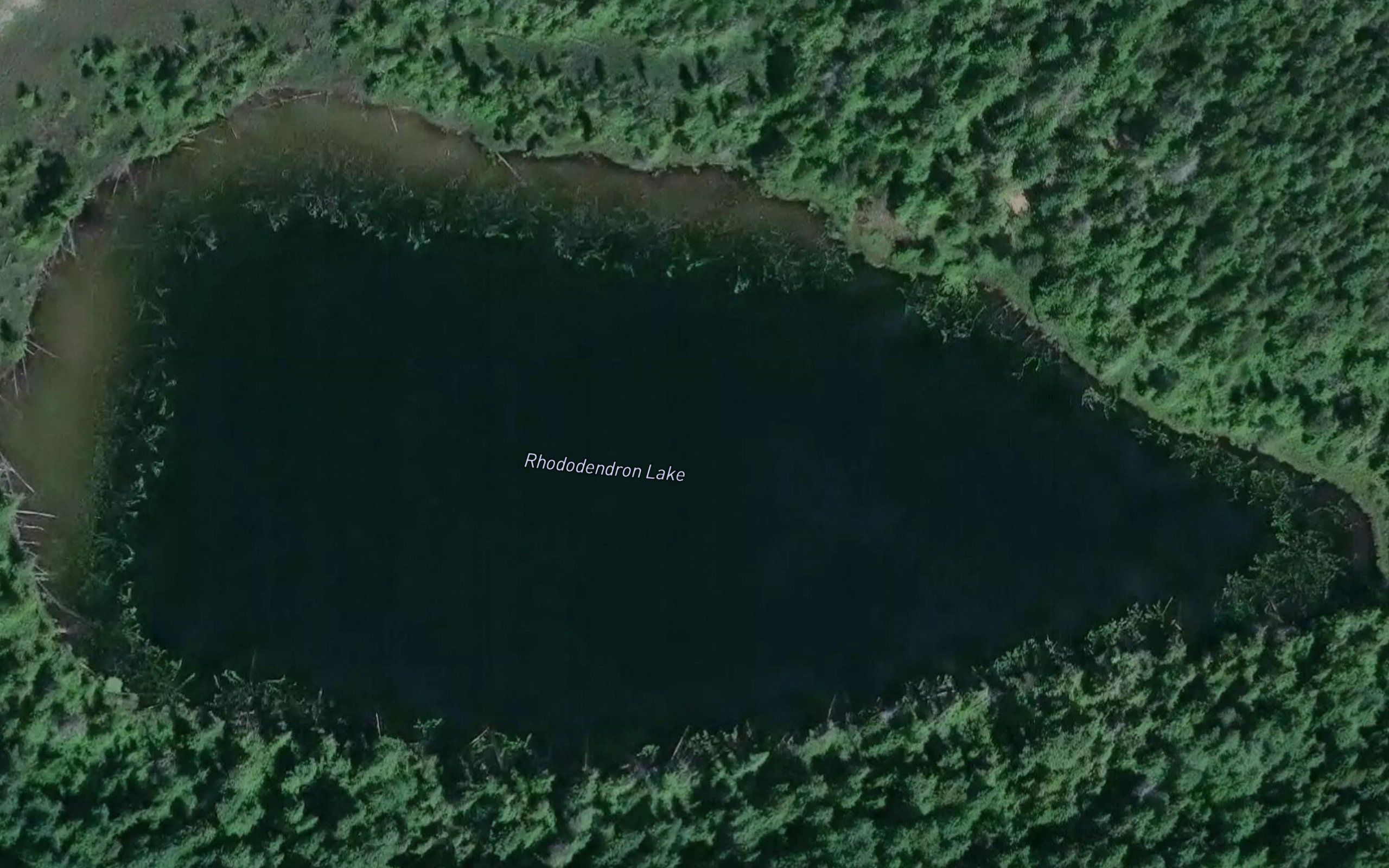 Rhododendron Lake
