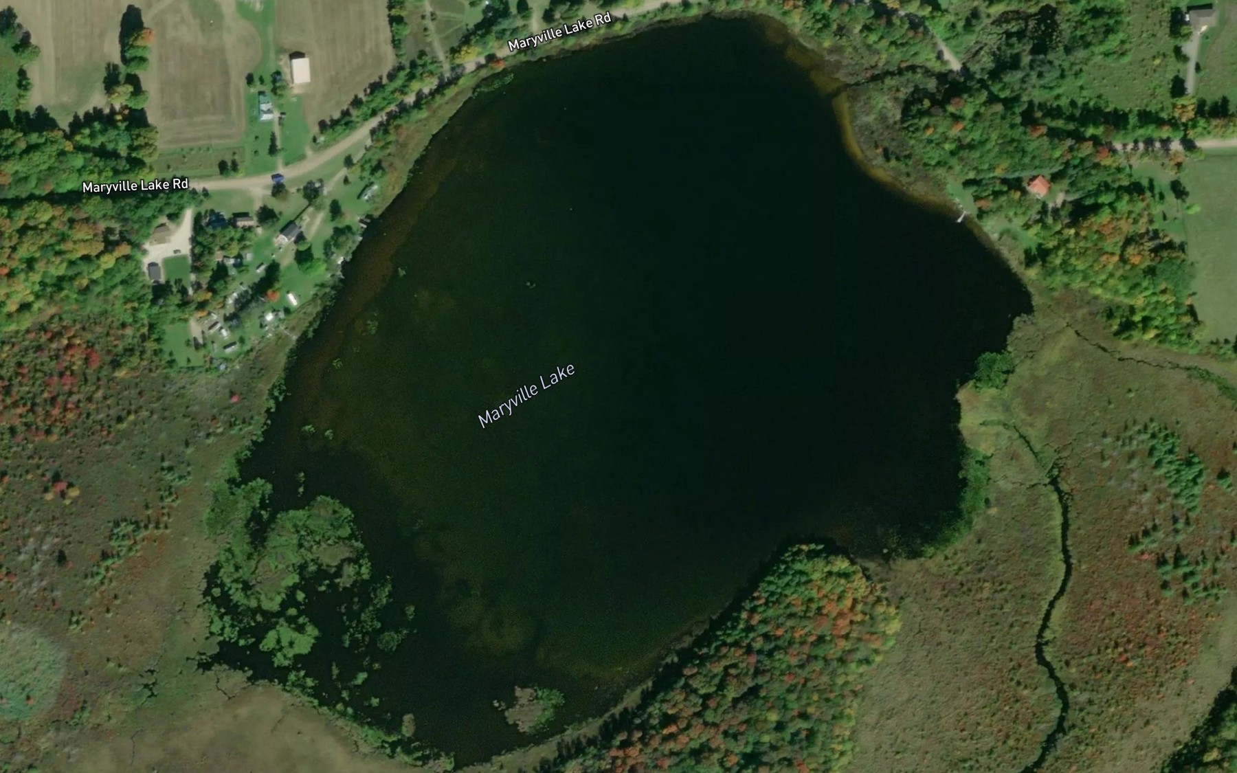 Satellite map of the Maryville Lake