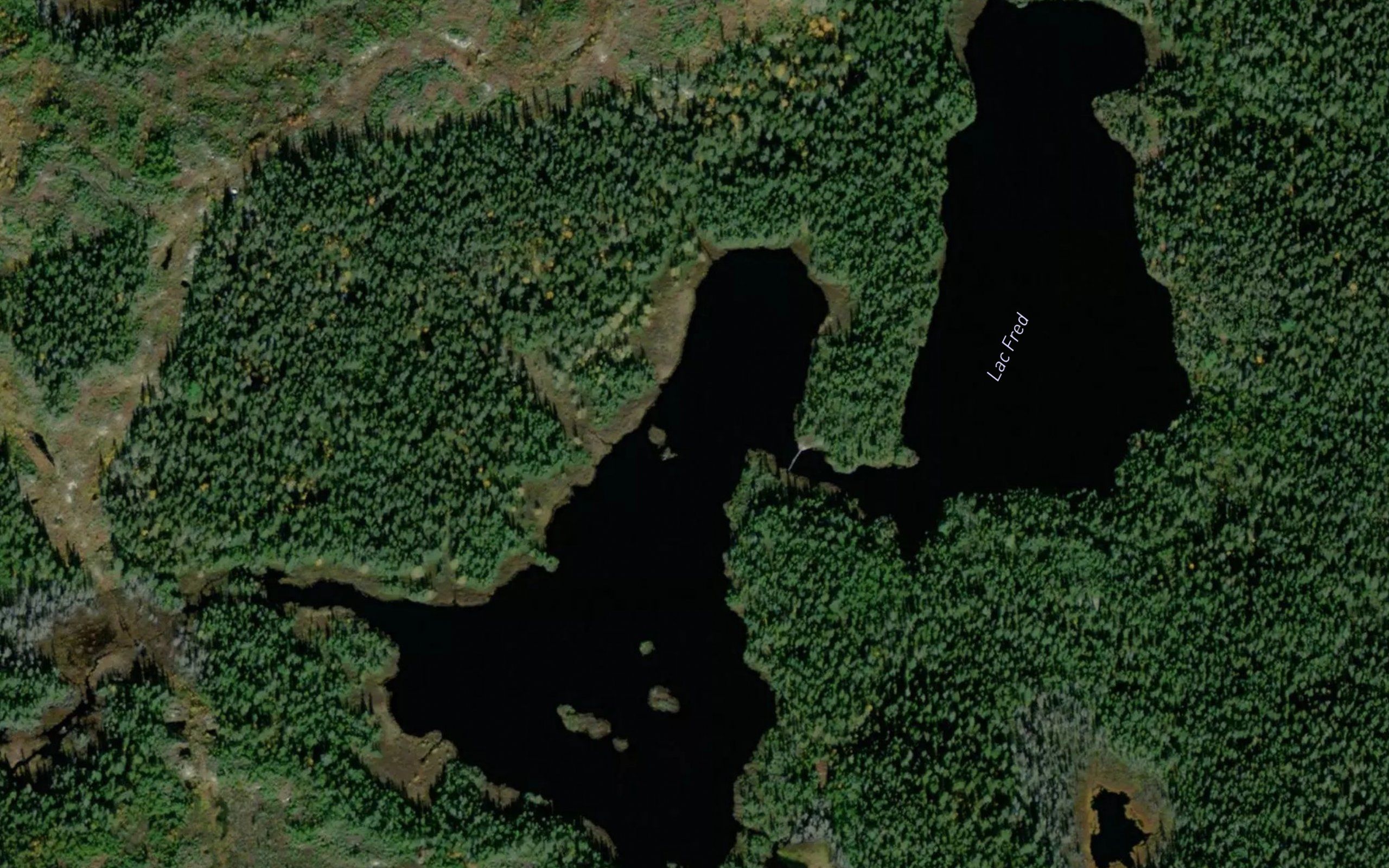 Lac Fred
