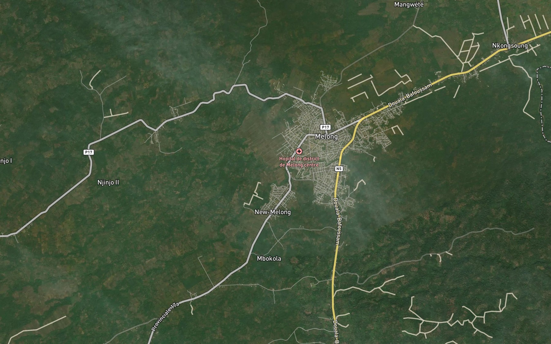 Satellite map of the Njoh