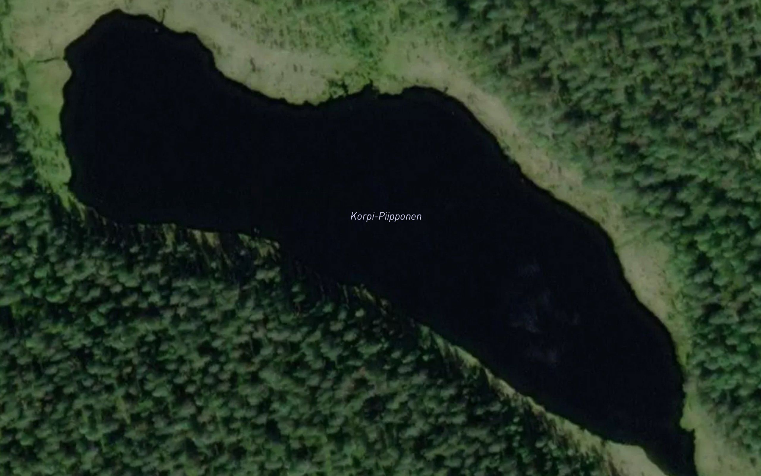 Korpi-Piipponen