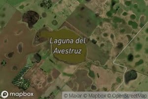 Laguna del Avestruz