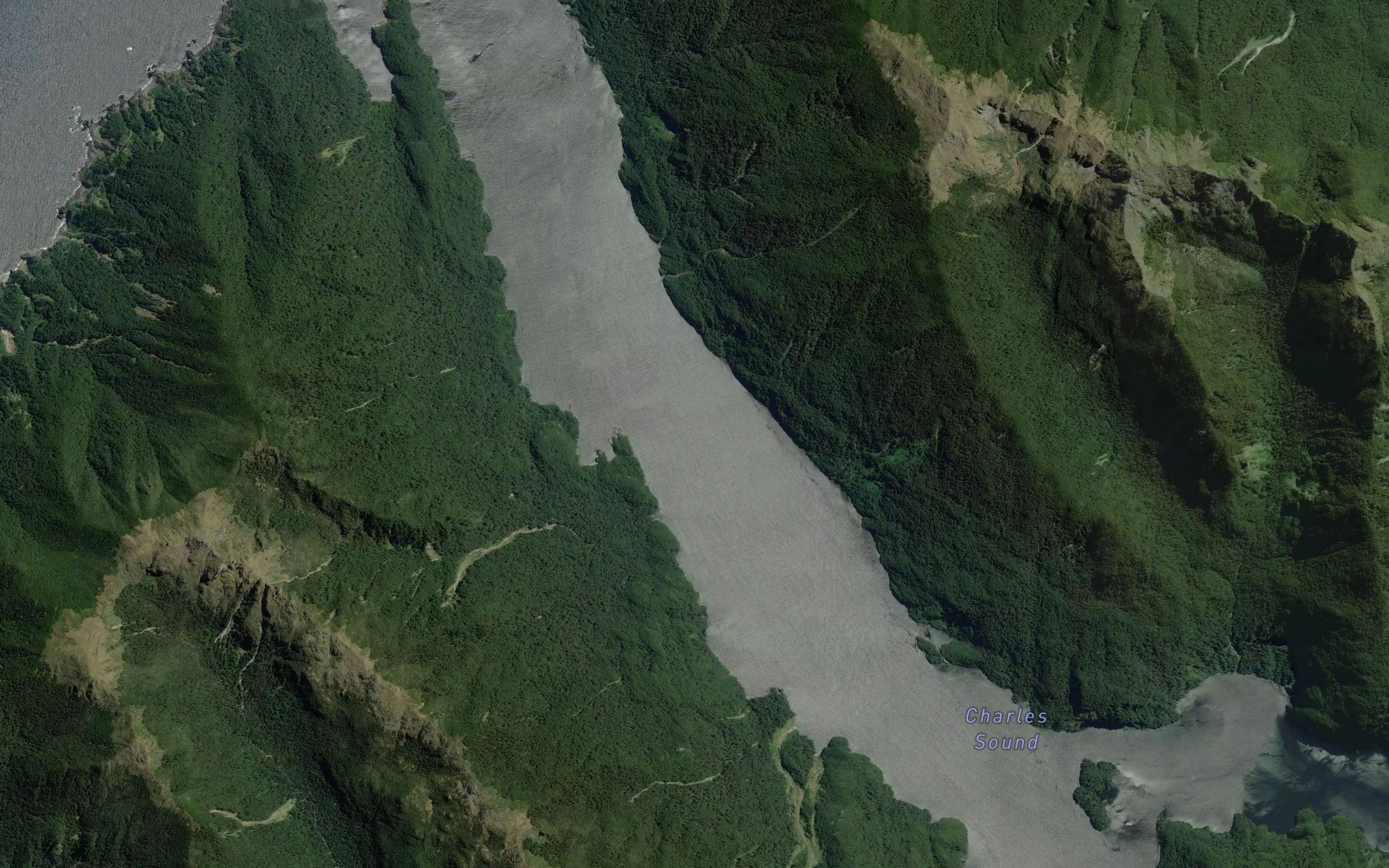 Taiporoporo / Charles Sound