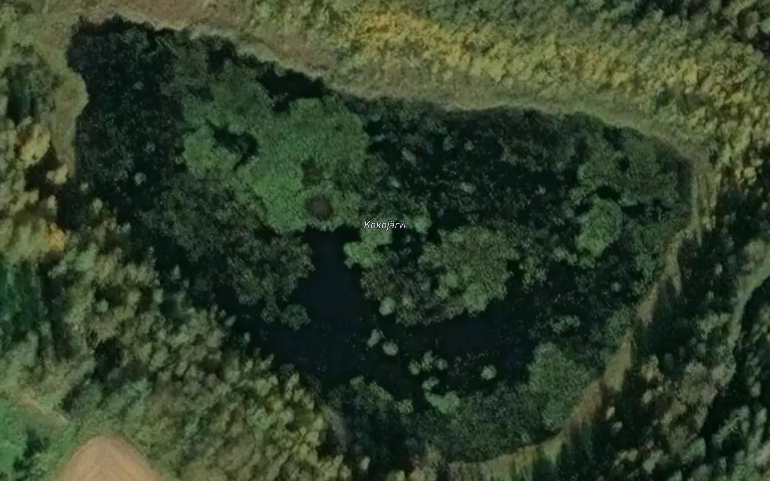 Kokojarvi