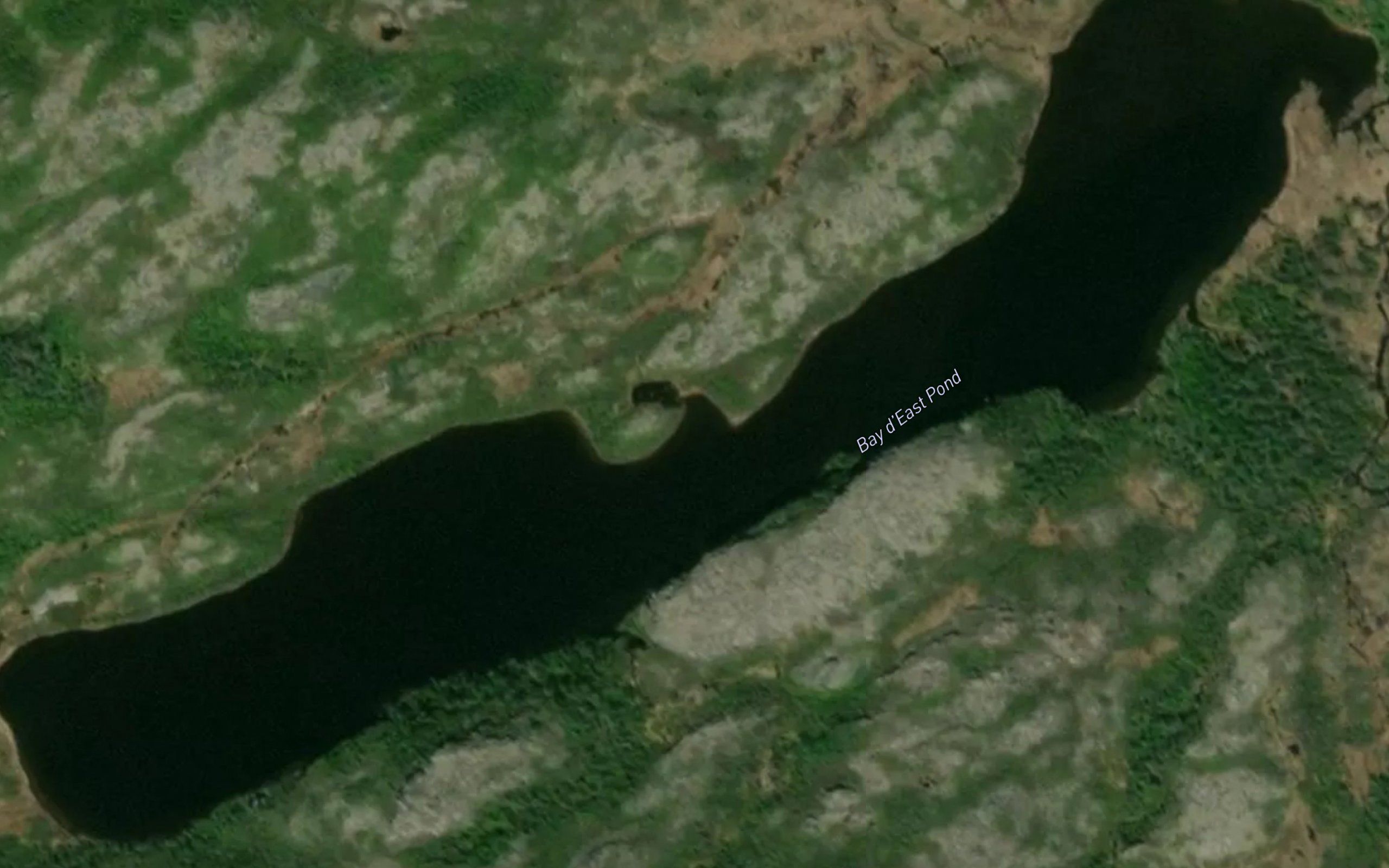 Bay d'East Pond