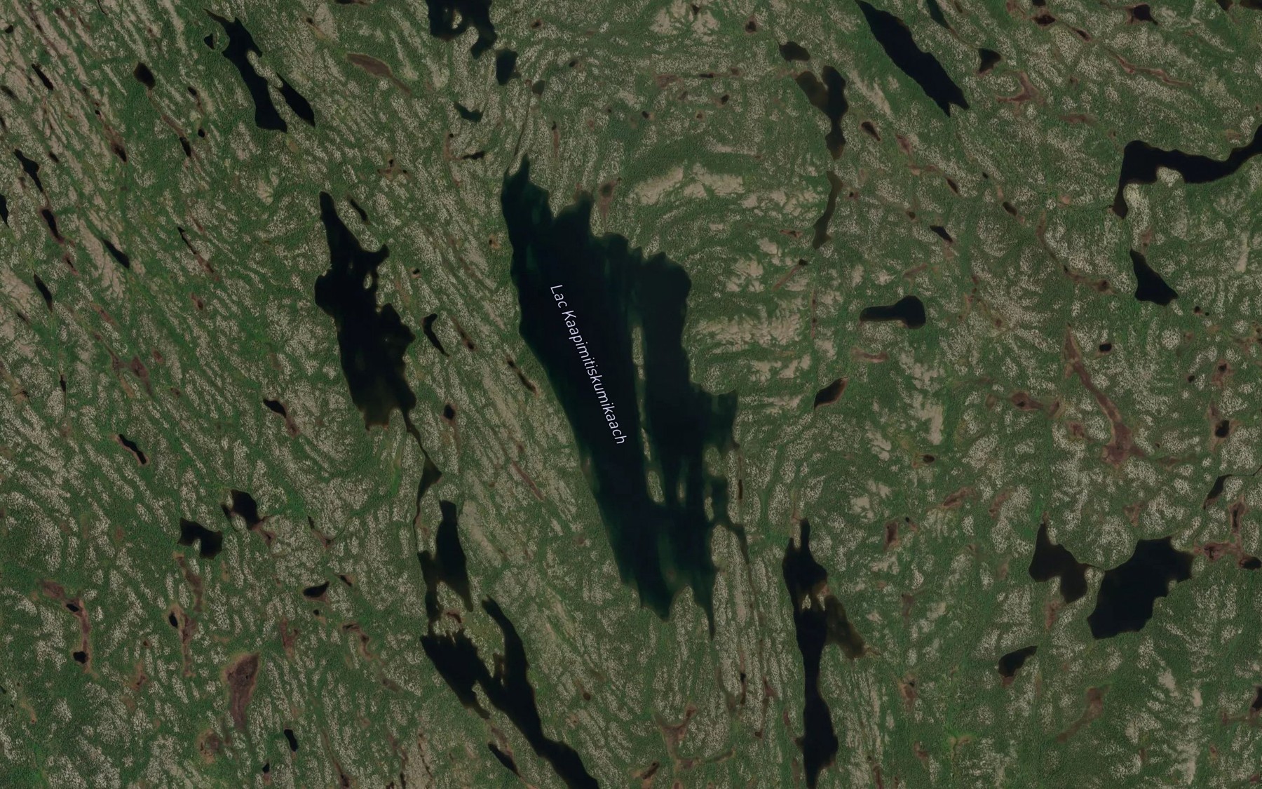 Satellite map of the Lac Kapimitiskumikach