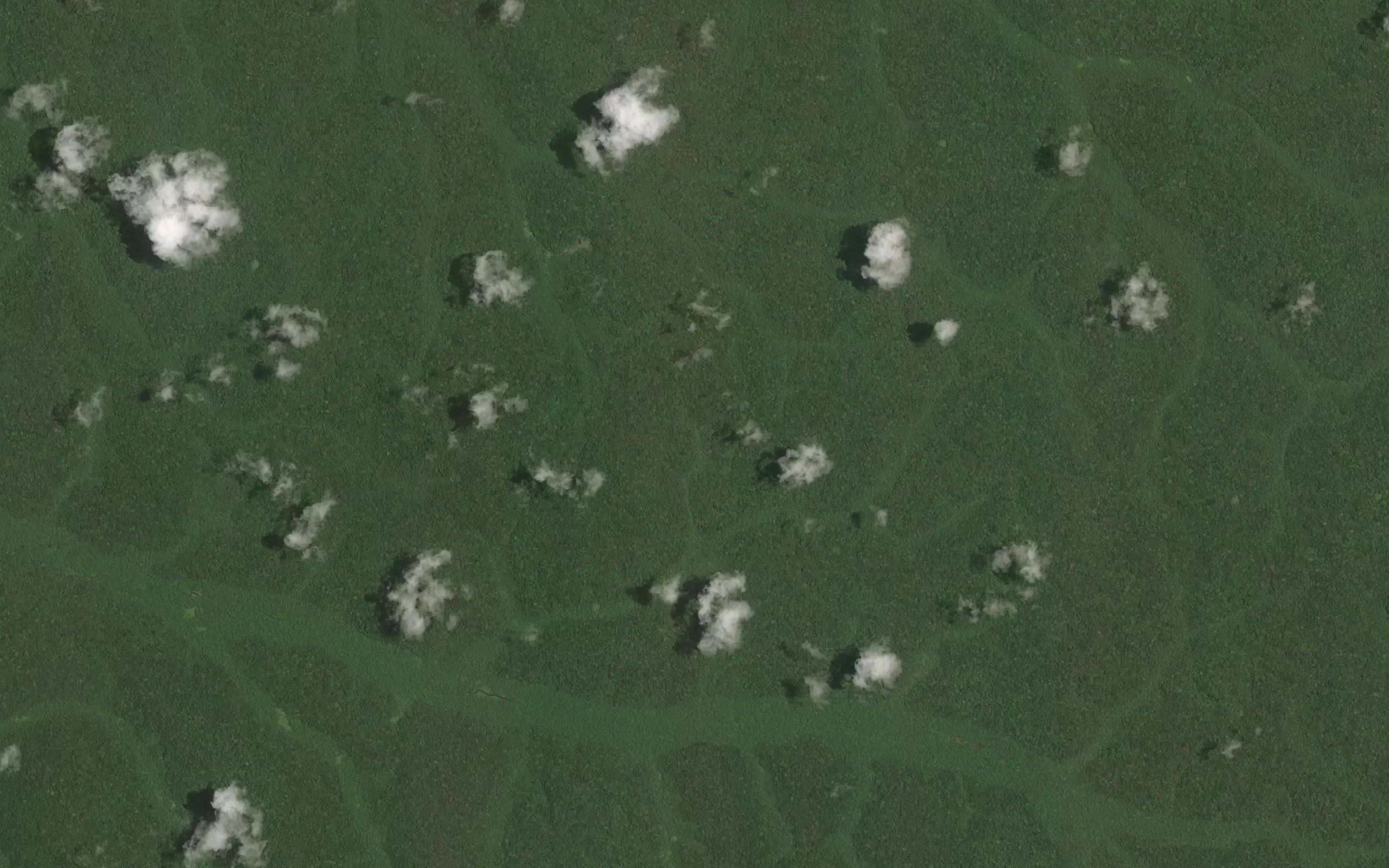 Moiguieu