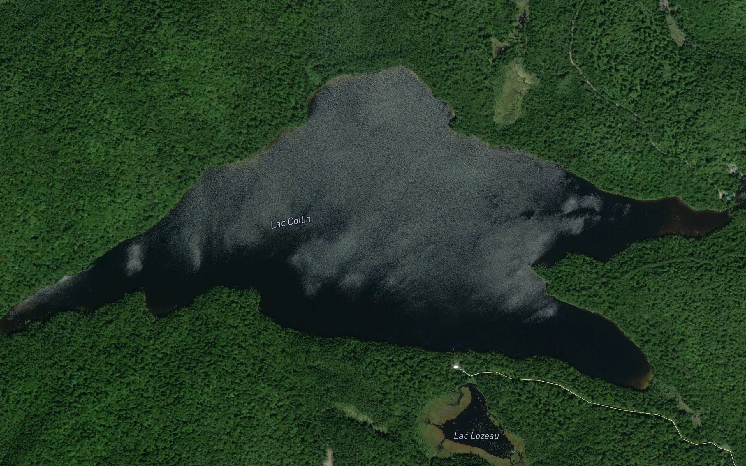Lac Collin