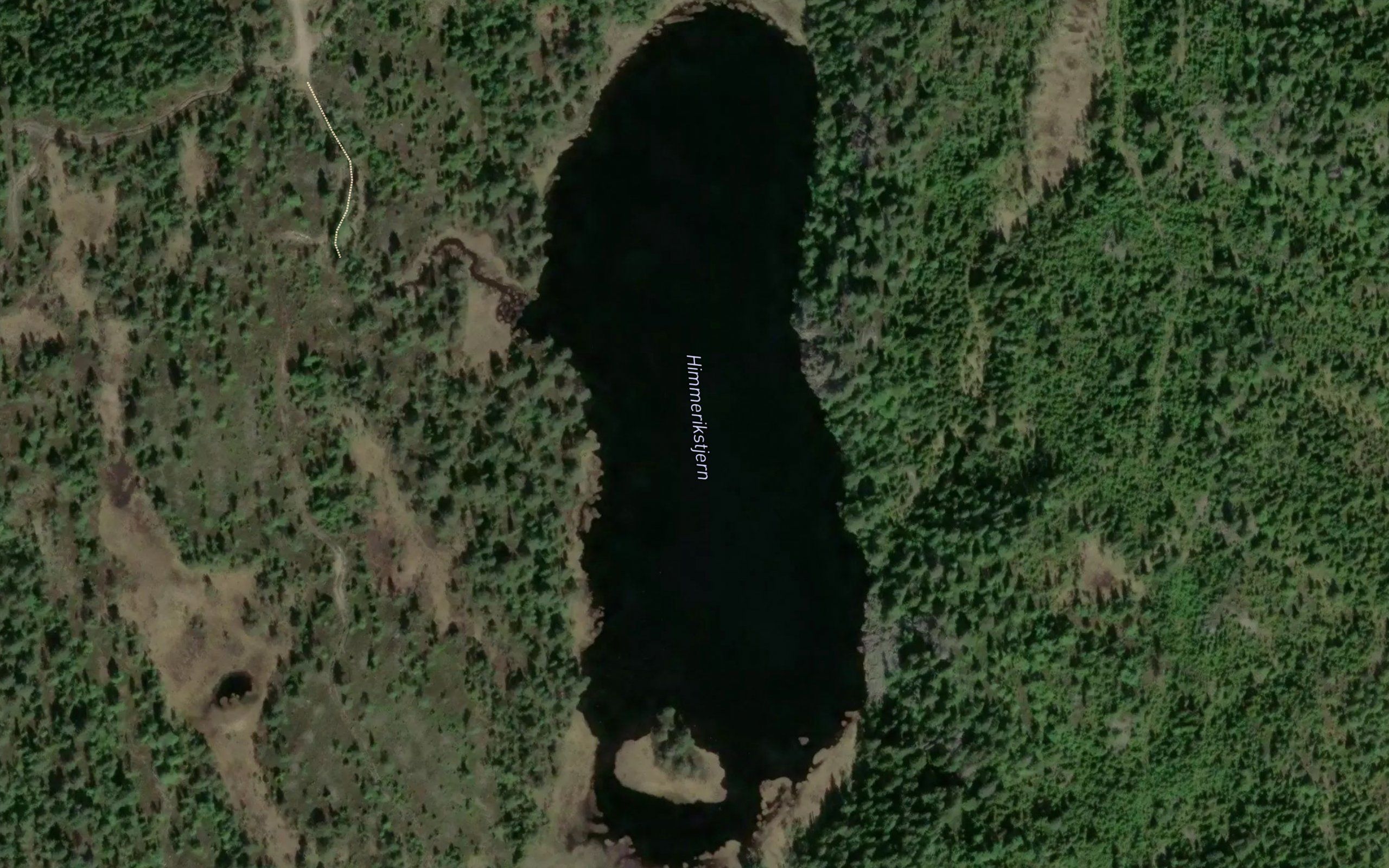 Himmerikstjern
