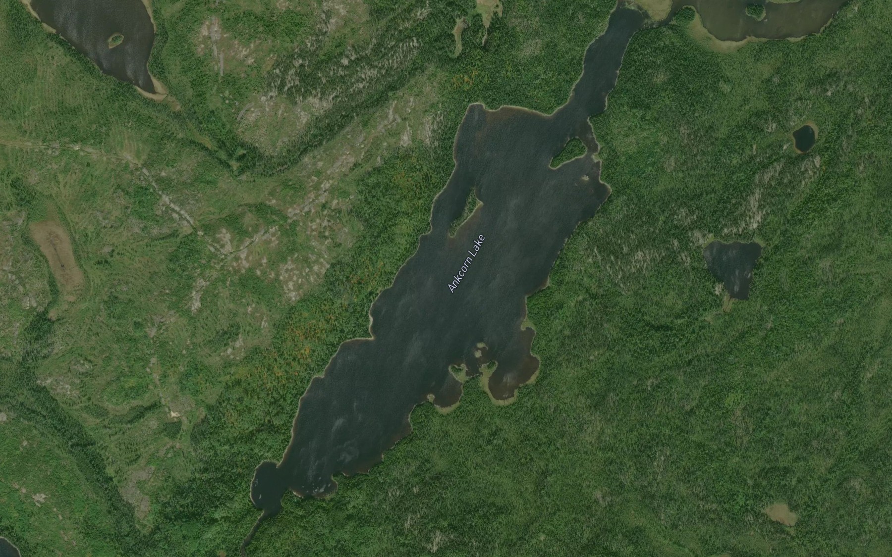 Satellite map of the Ankcorn Lake