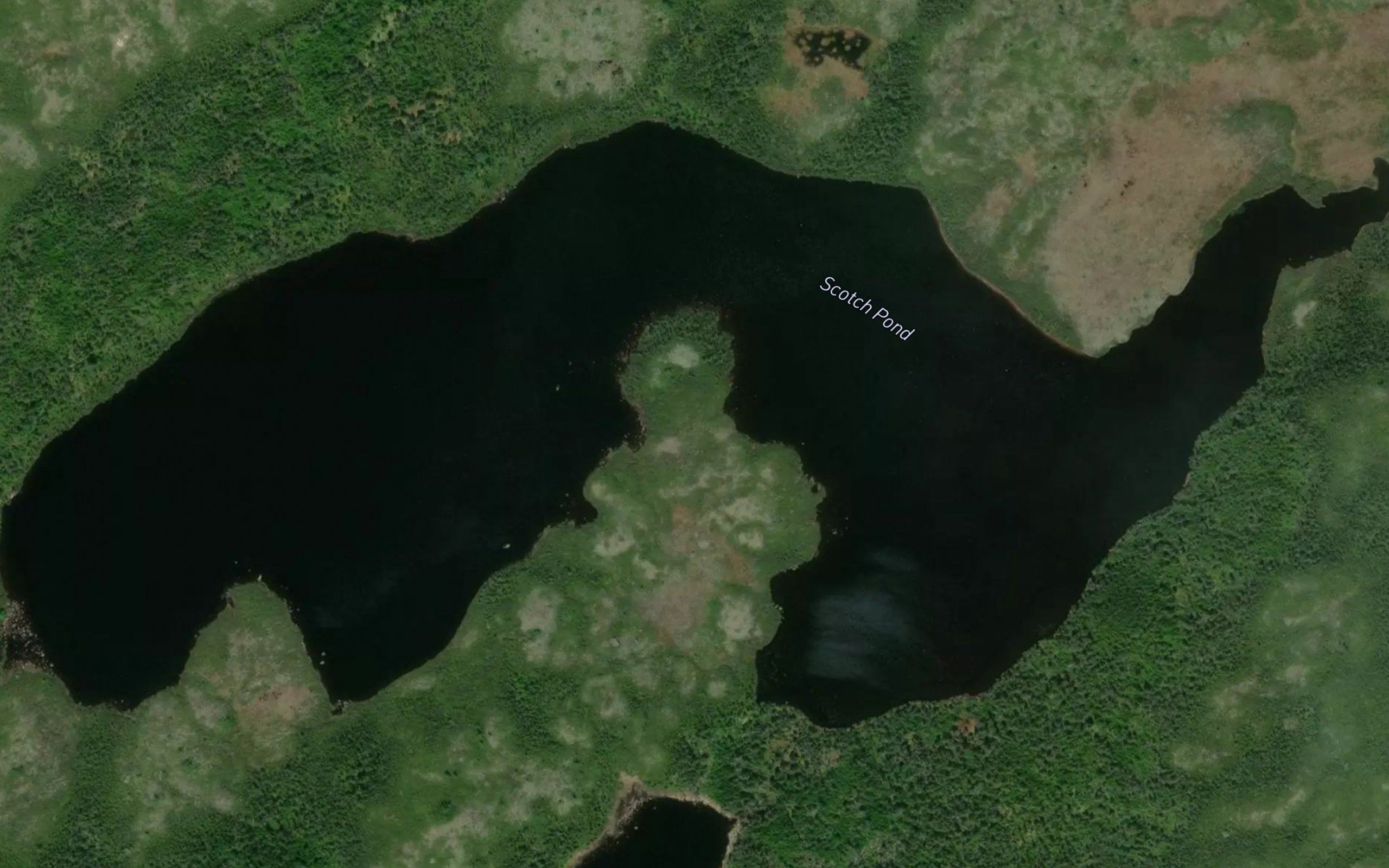 Scotch Pond