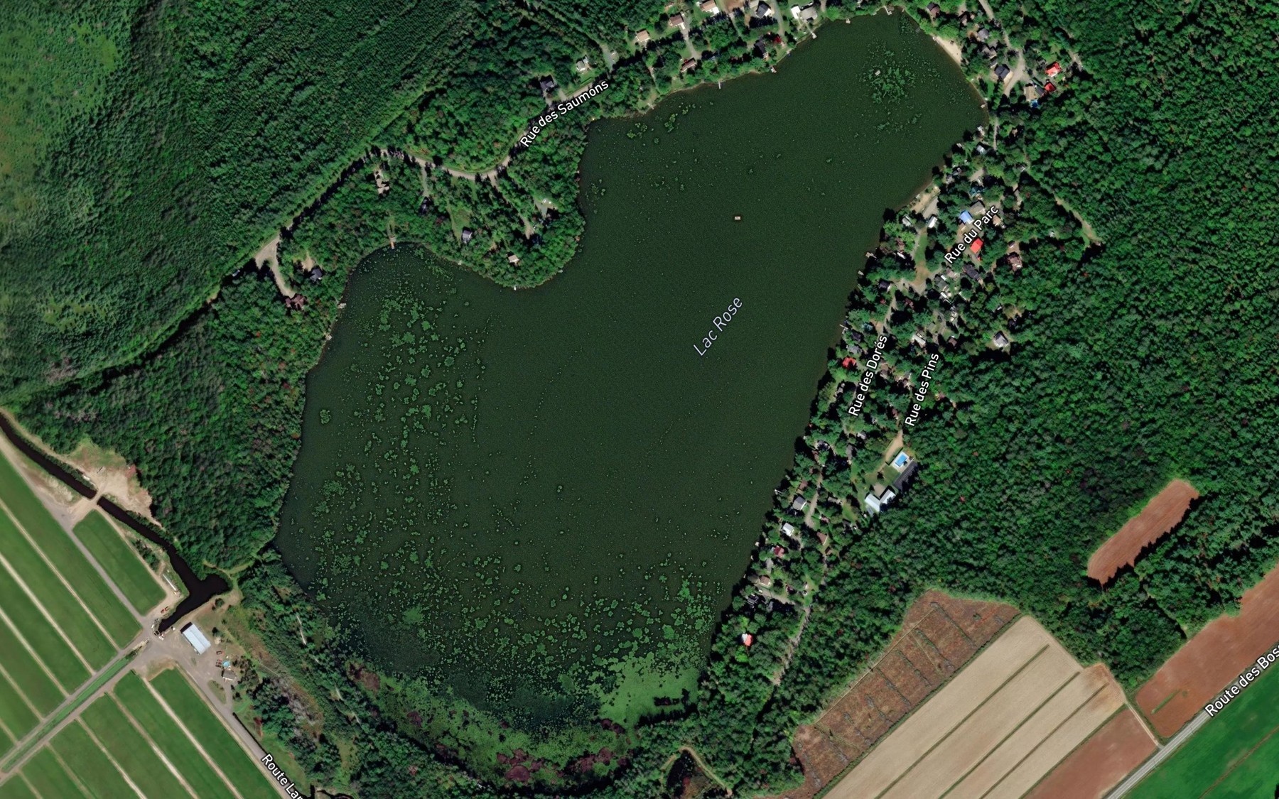 Satellite map of the Lac Rose