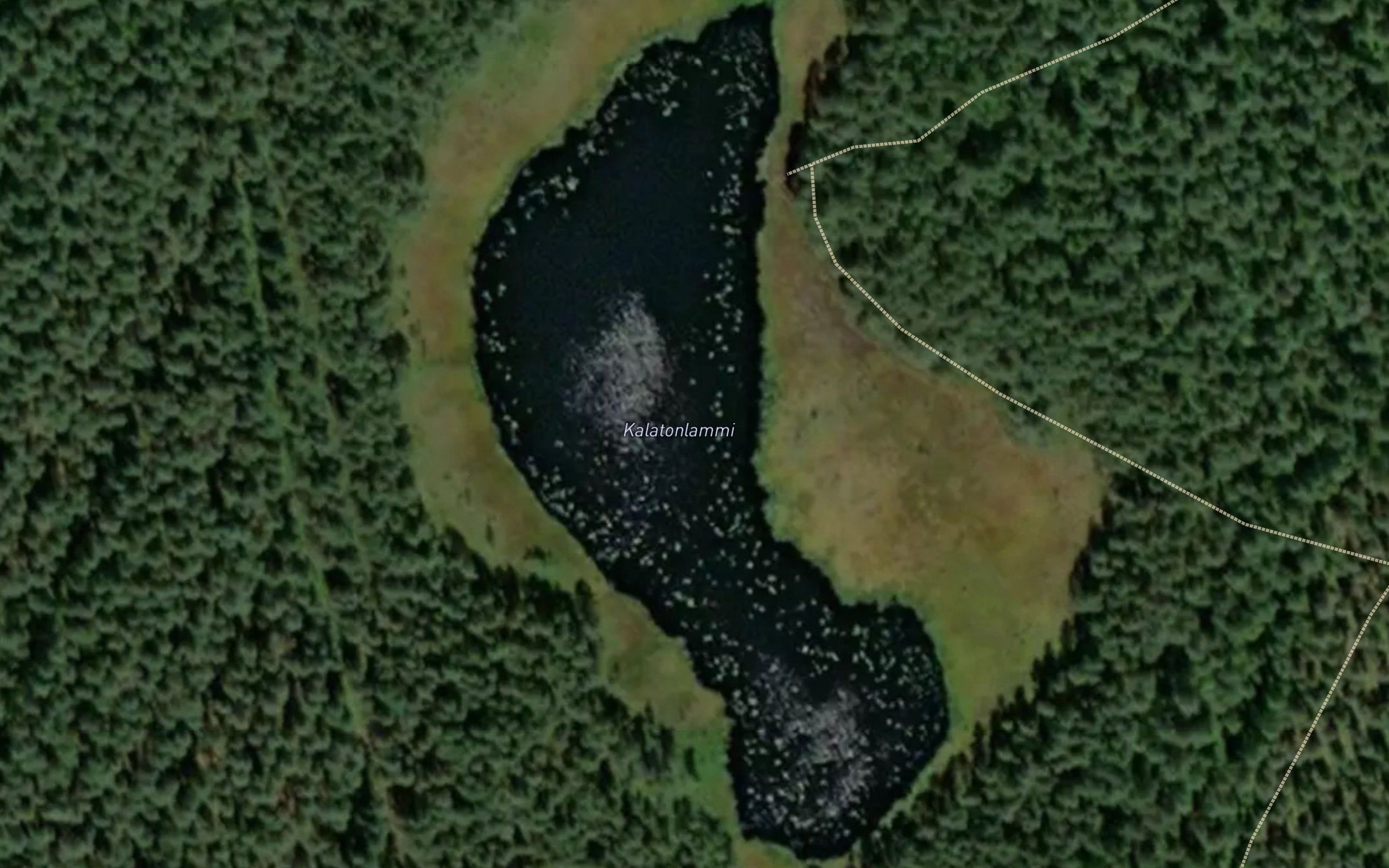 Kalatonlammi