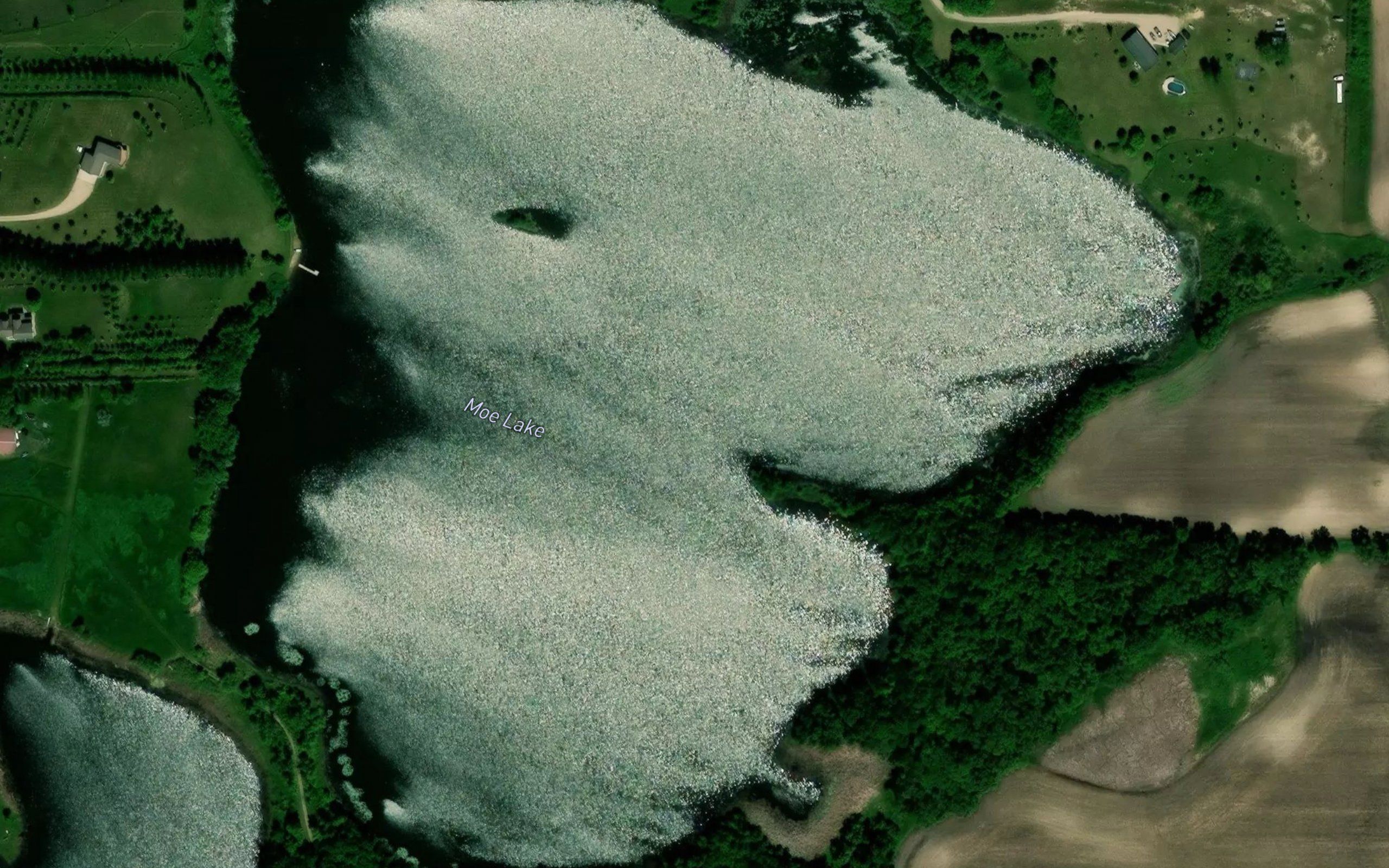 Moe Lake