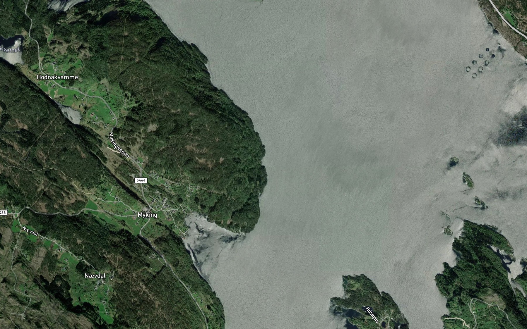 Satellite map of the Salbuviki