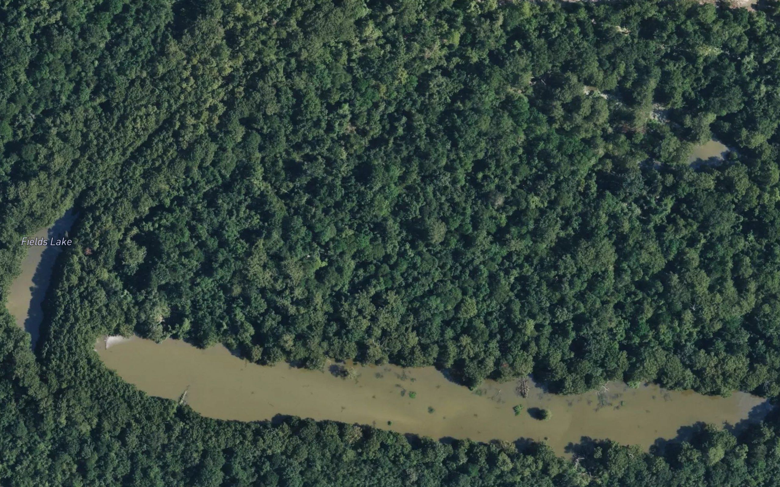 Fields Lake