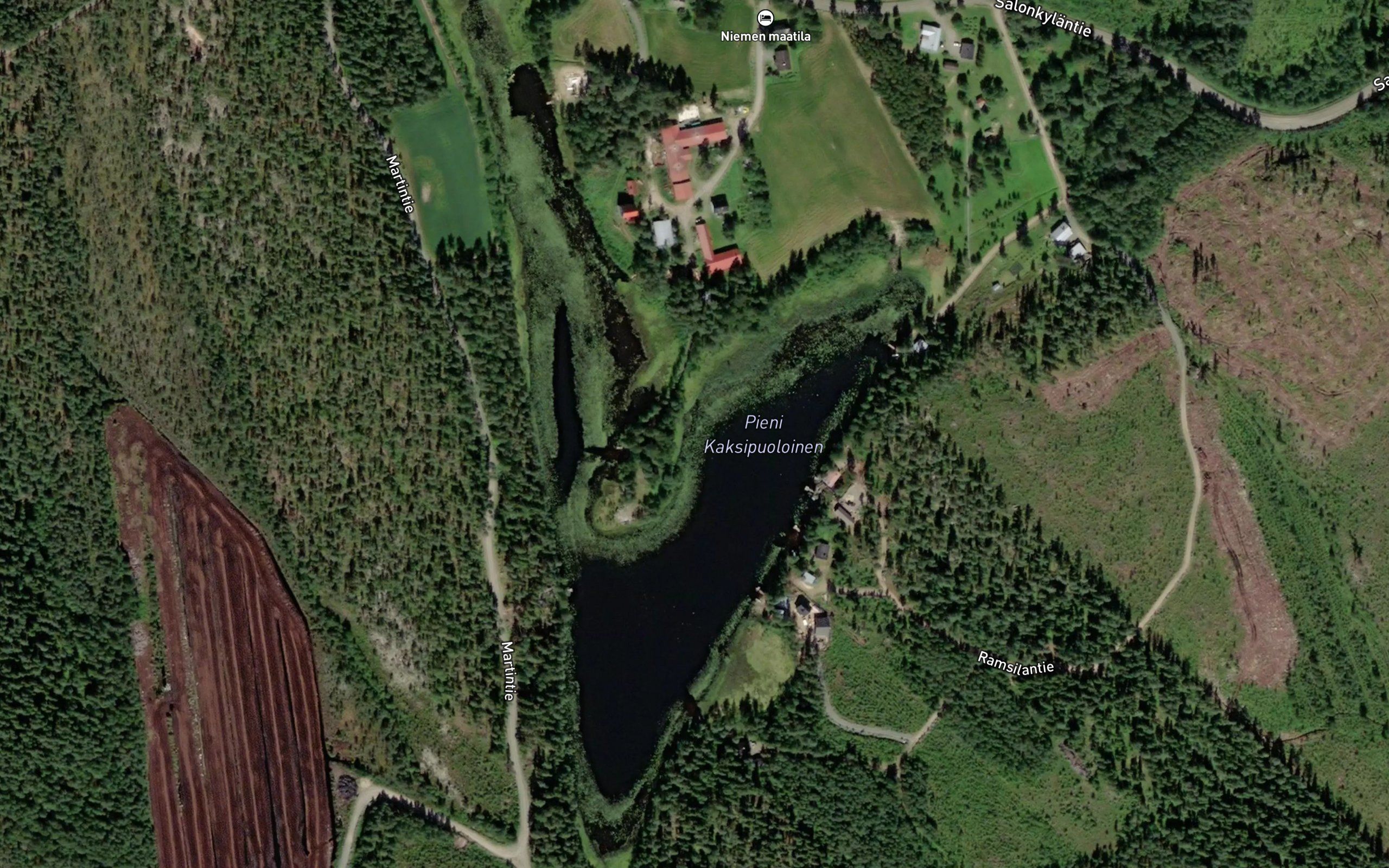 Pieni Kaksipuoloinen