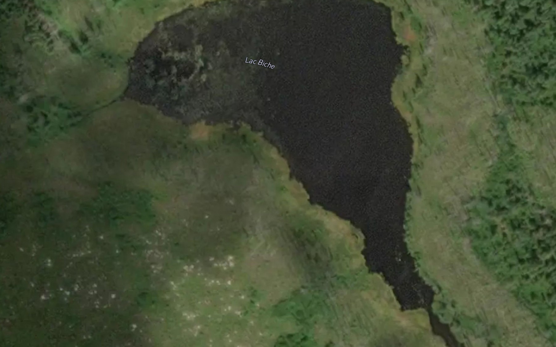 Satellite map of the Lac Biche