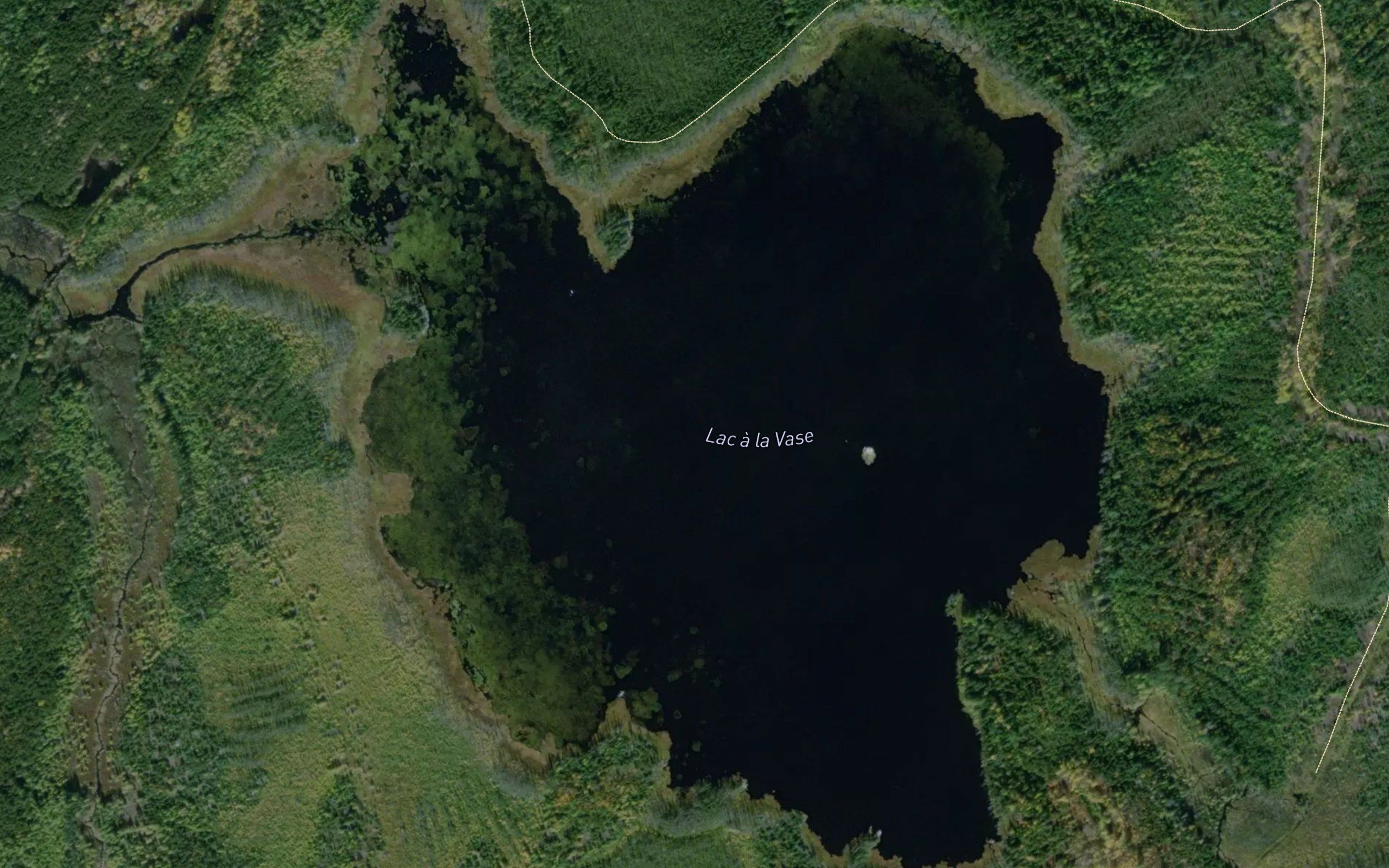 Lac a la Vase