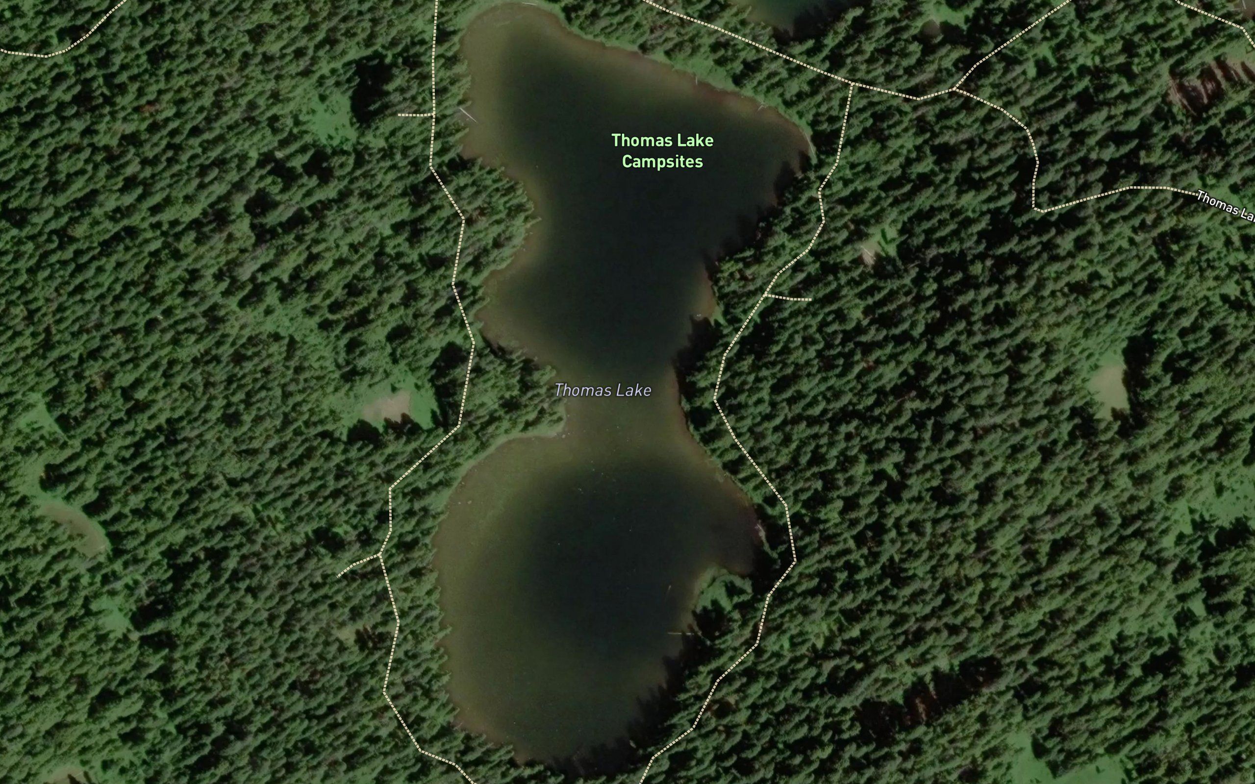 Thomas Lake