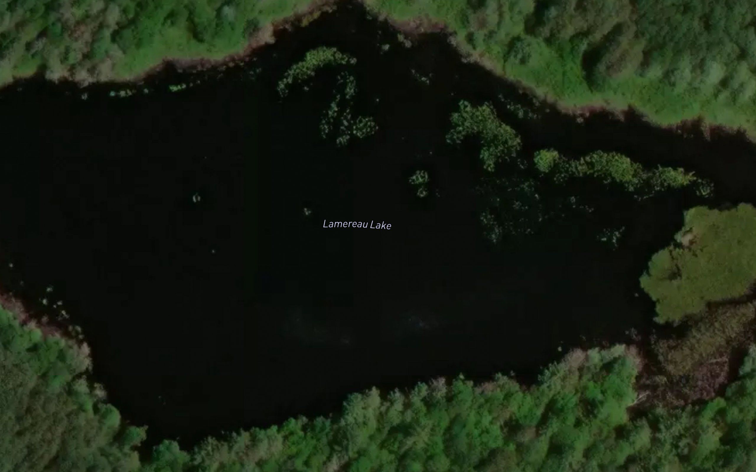 Lamereau Lake