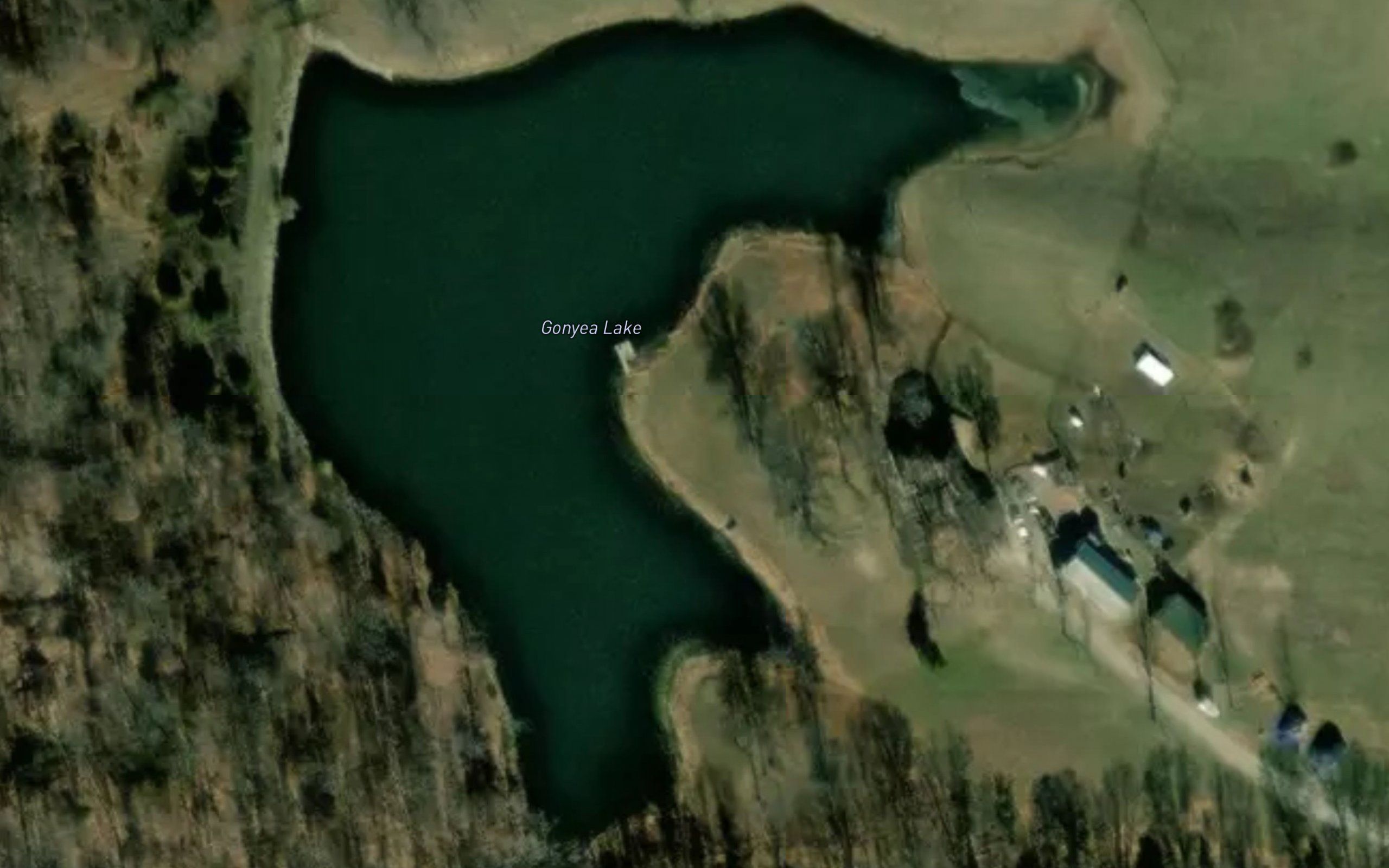 Gonyea Lake