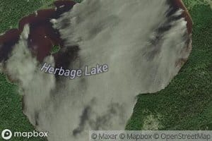 Herbage Lake