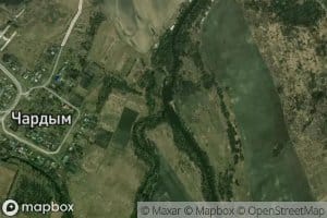 Chardym