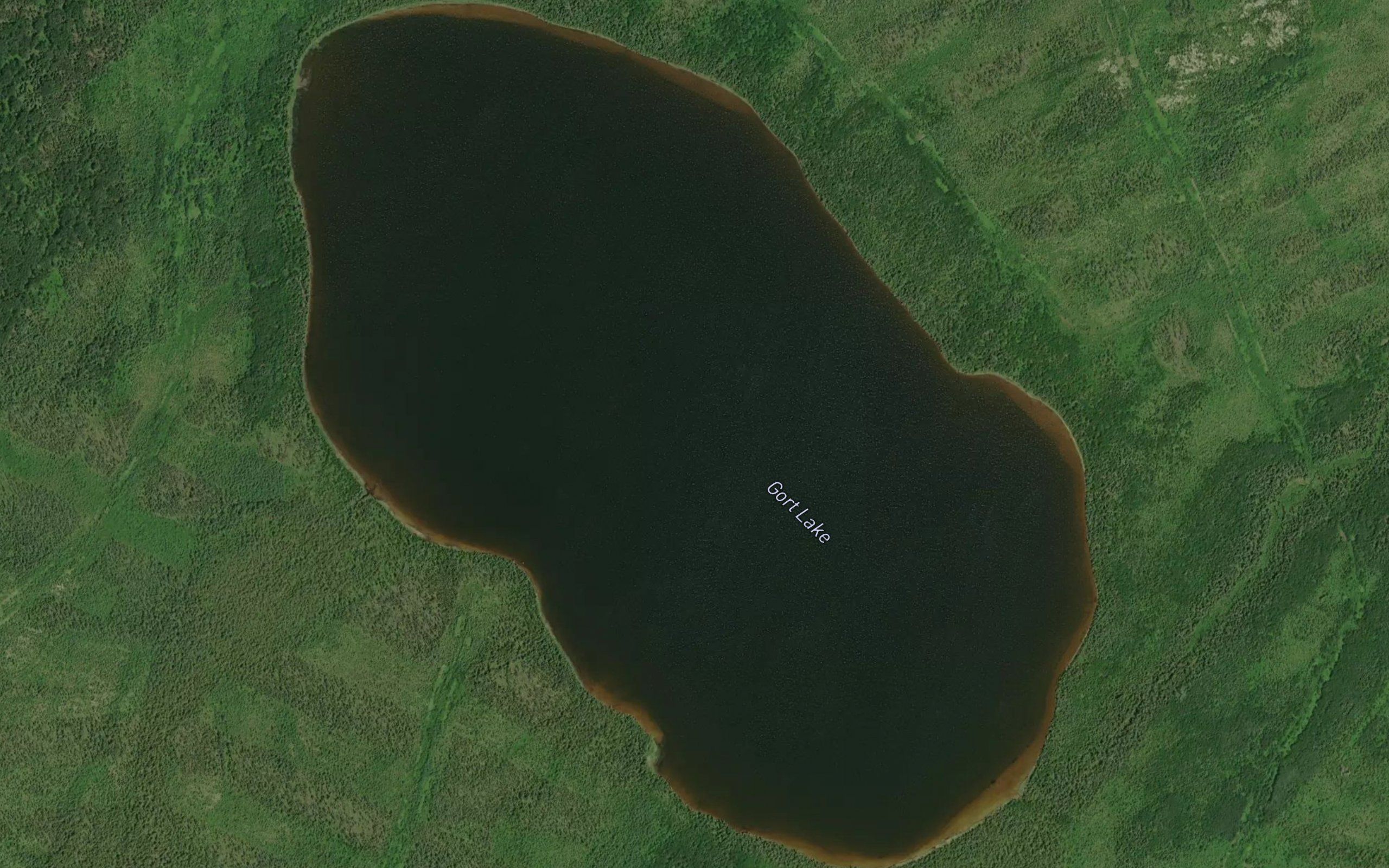Gort Lake