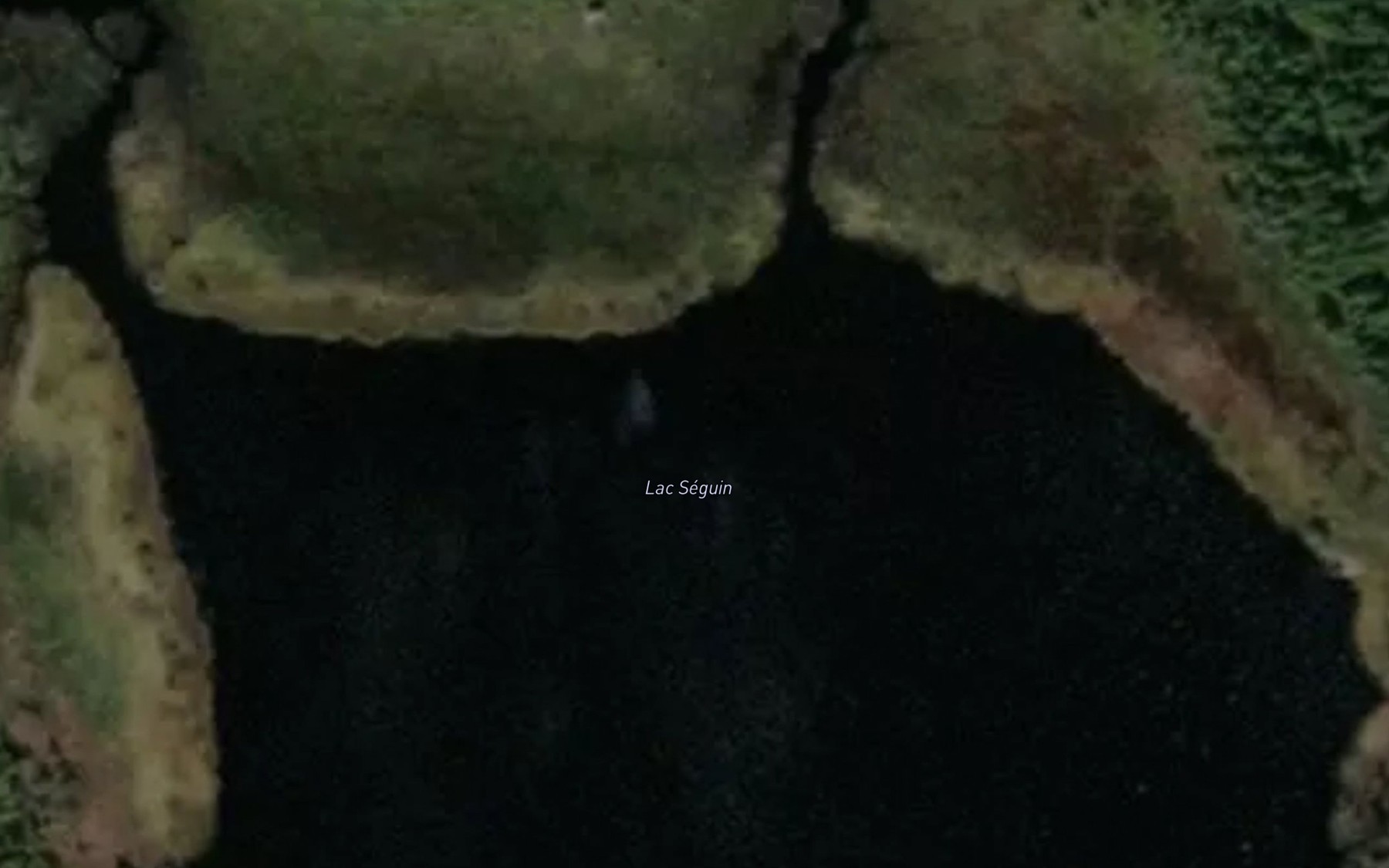 Satellite map of the Lac Seguin
