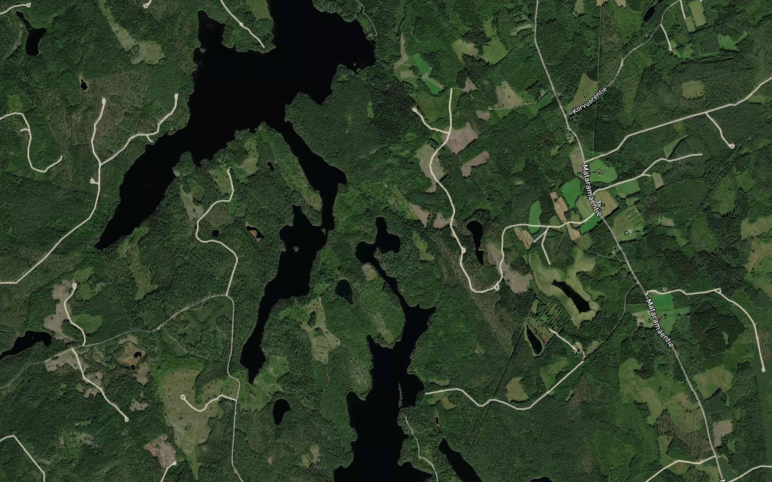 Pieni-Hoikka