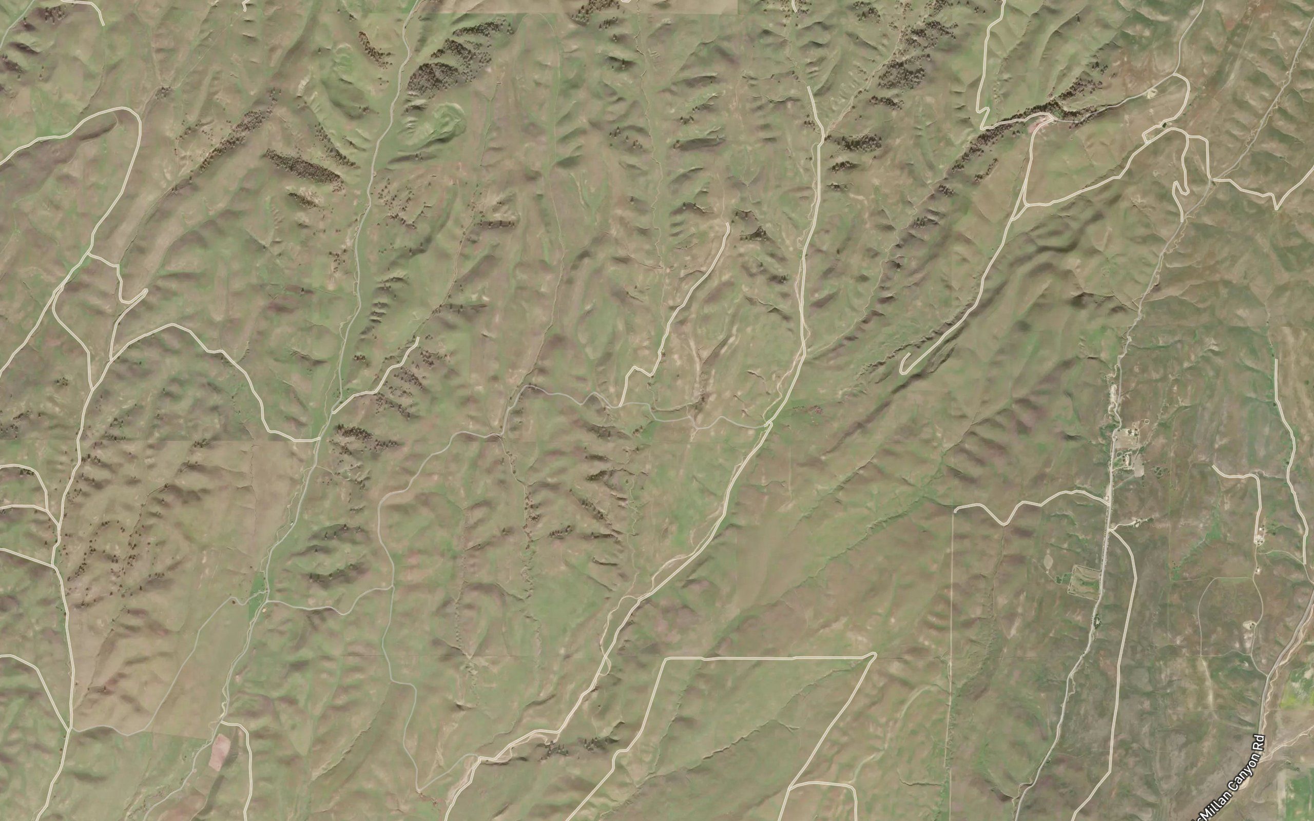 West Tuley Springs